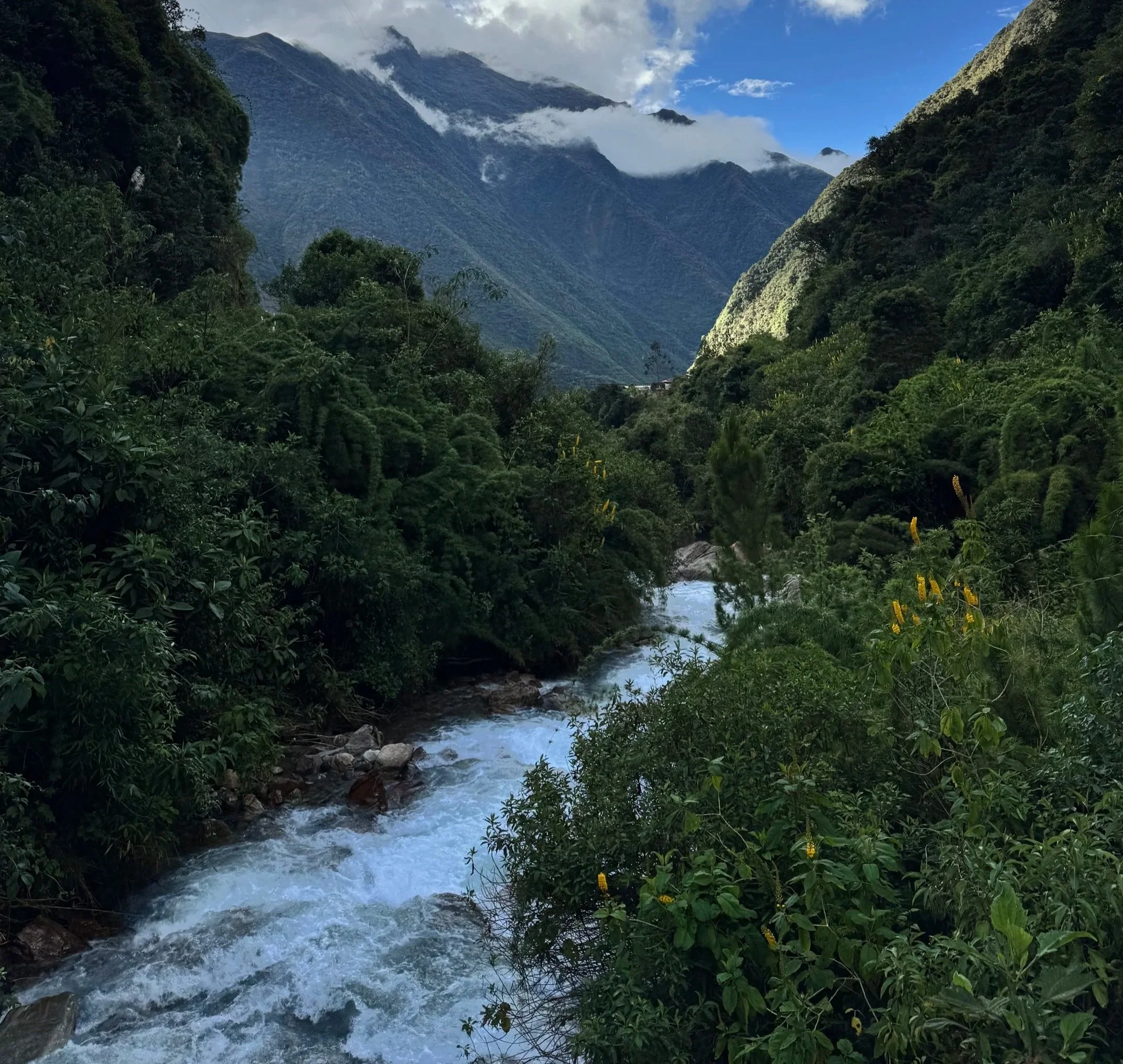 A river flows through lush green forest with dense trees on either side. In the background, tall mountains covered in greenery rise under a partly cloudy sky with patches of blue.