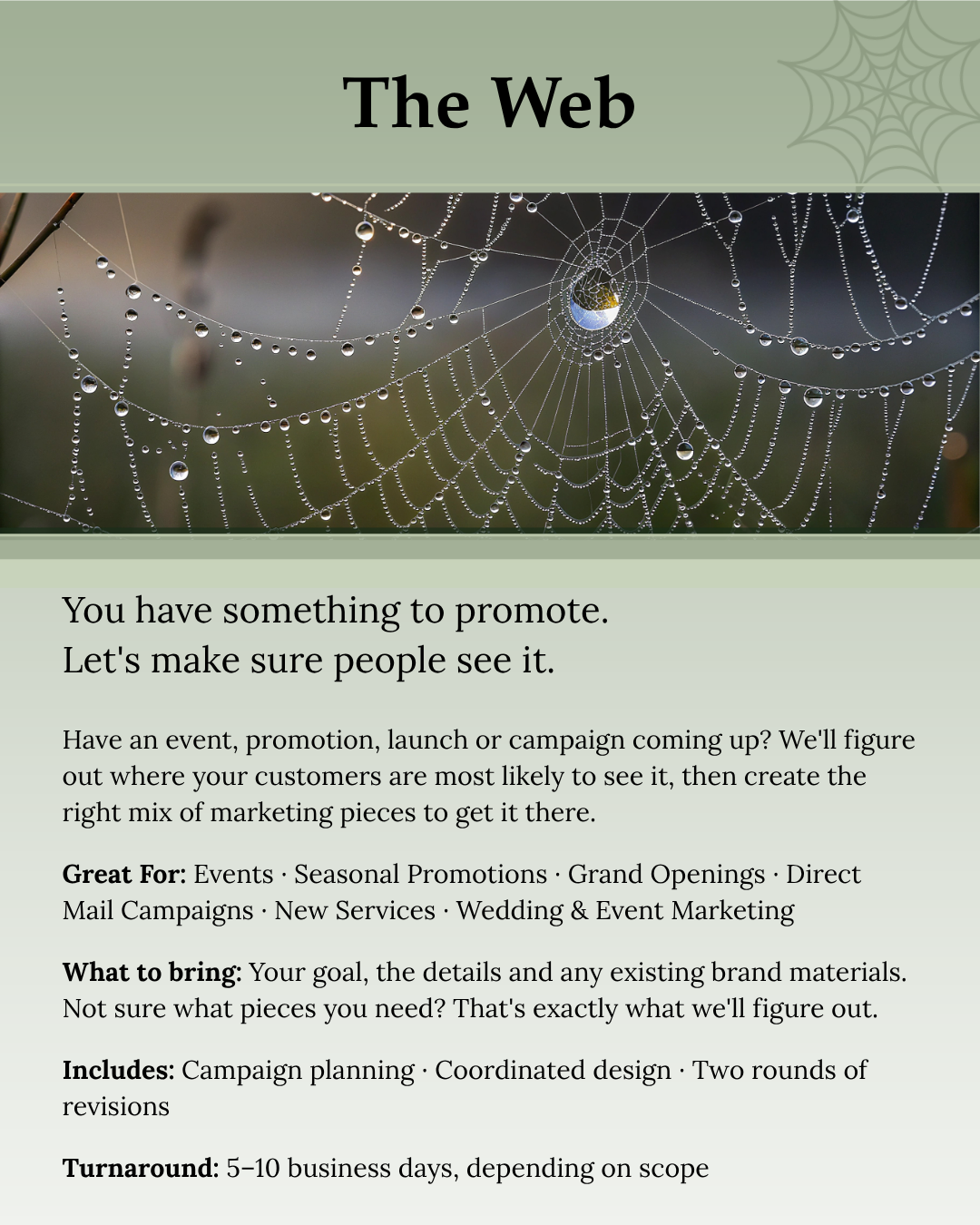 The Web Evolved.png