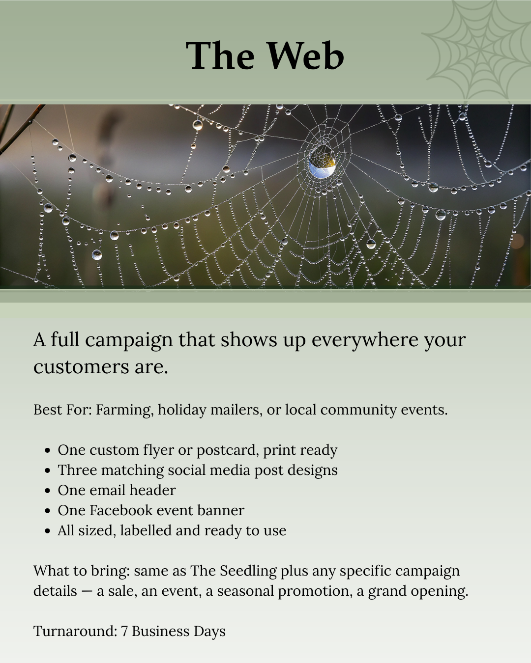 The Web