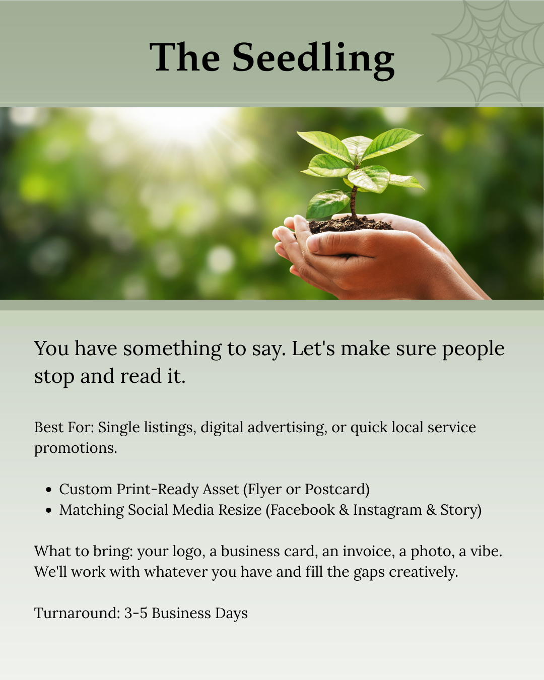 The Seedling