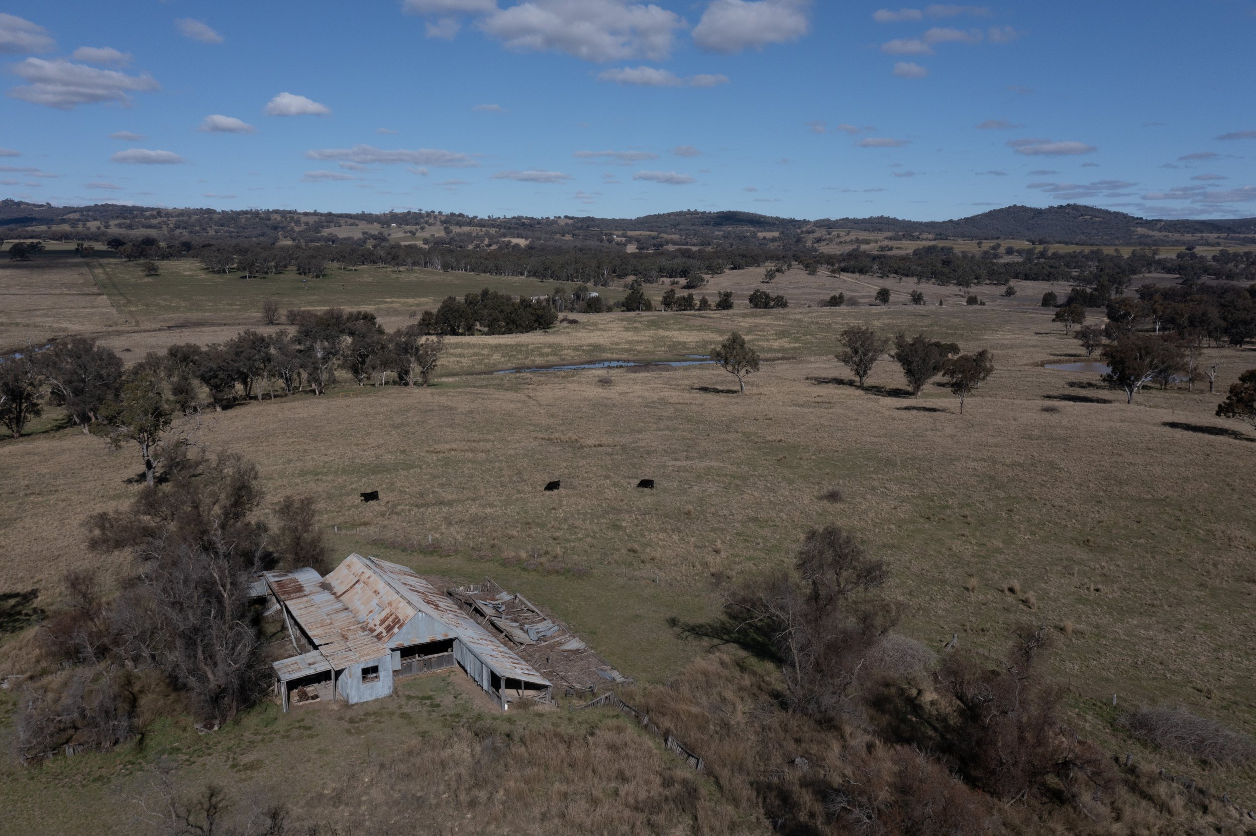 A rural landscape featuring open fields, scattered trees, a small pond, and an abandoned barn with rusted, weathered metal roofing under a partly cloudy blue sky.
