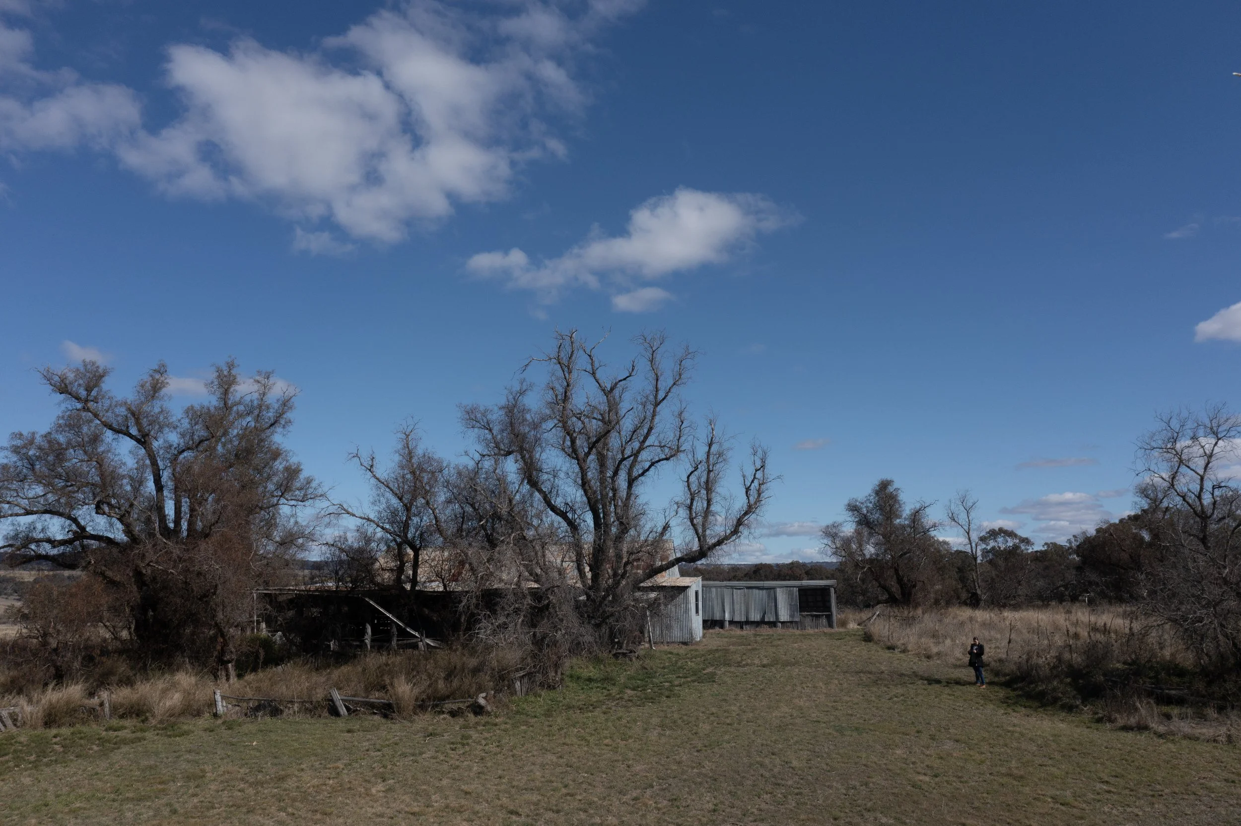 A rural landscape with leafless trees, a grassy field, and a metallic building. A person stands on the right side of the field, holding an object, with a blue sky and clouds overhead.