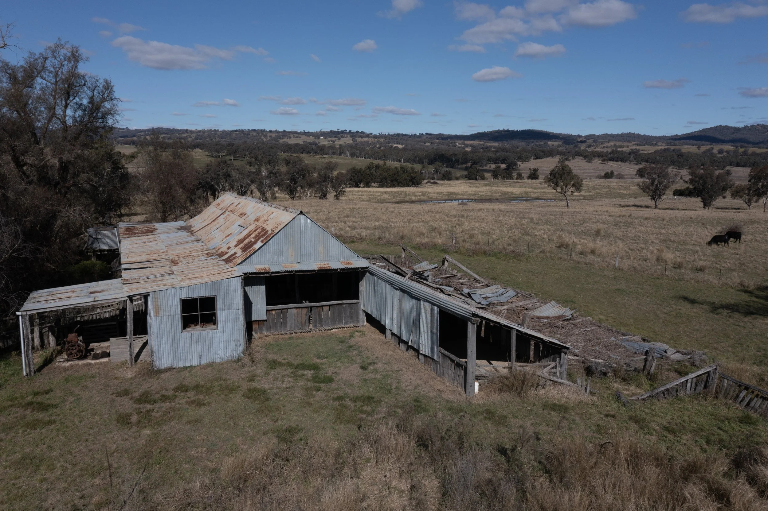 An old, dilapidated metal shed with rusted roofing in a rural landscape. Surrounding it are open fields, a few trees, and a distant black horse grazing in the field under a partly cloudy sky.