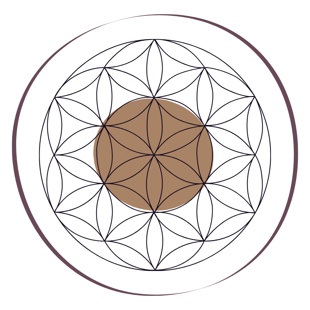 Diagramme géométrique complexe avec un motif floral au centre, sur fond noir.