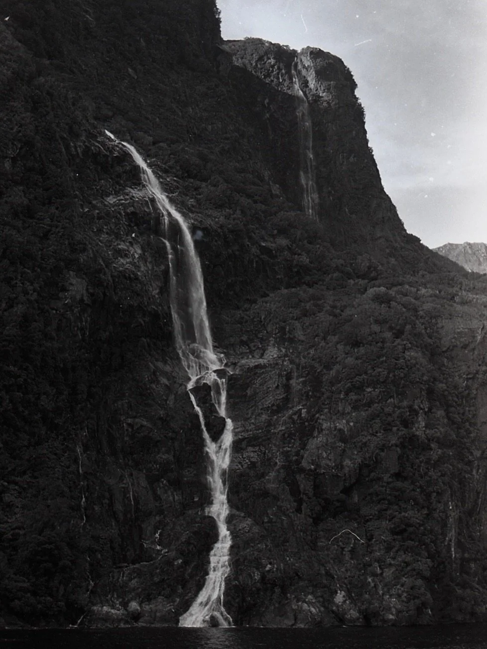 happy earth day 𖡼𖤣𖥧𖡼𓋼𖤣𖥧𓋼𓍊

#filmphotography #blackandwhite #earthday #ilford #nature