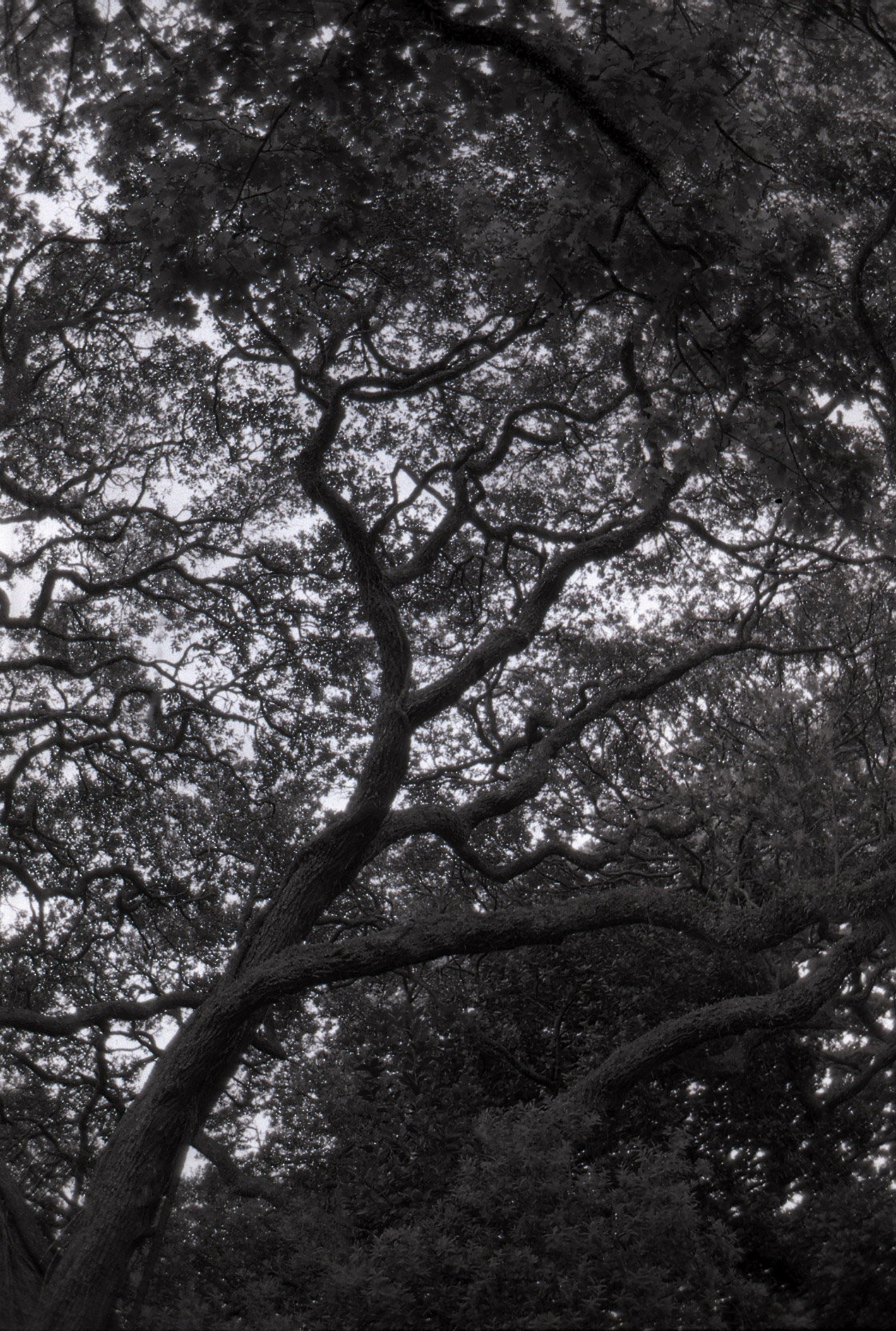 Scan7 (2).jpg