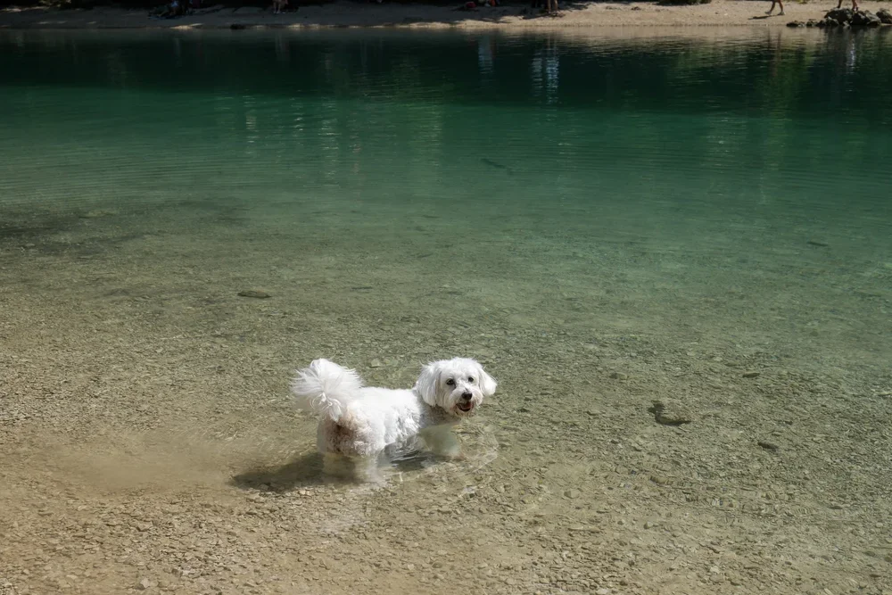 DSCF0515.webp