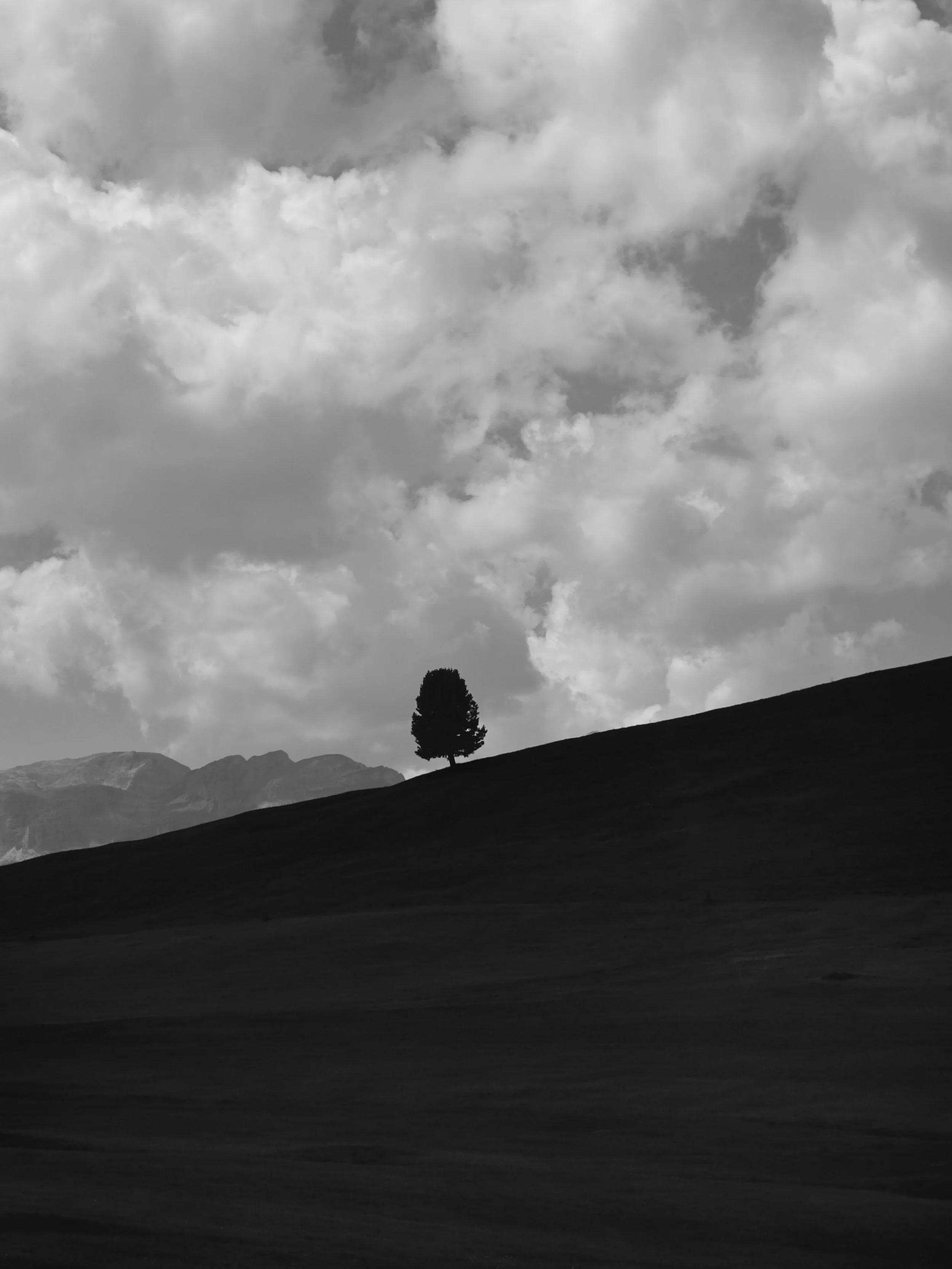_DSF1904 (1).jpg