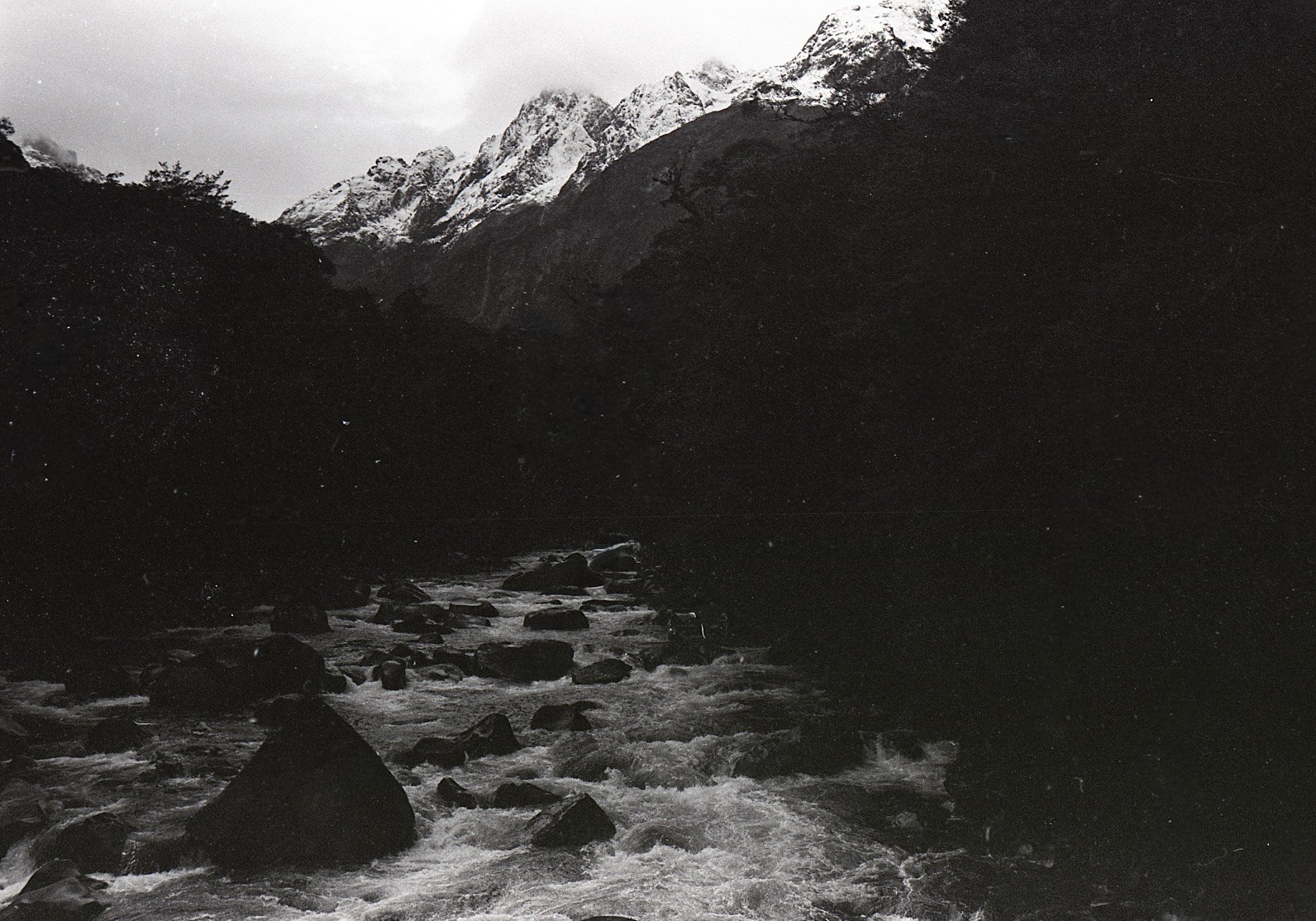 Scan7.jpg