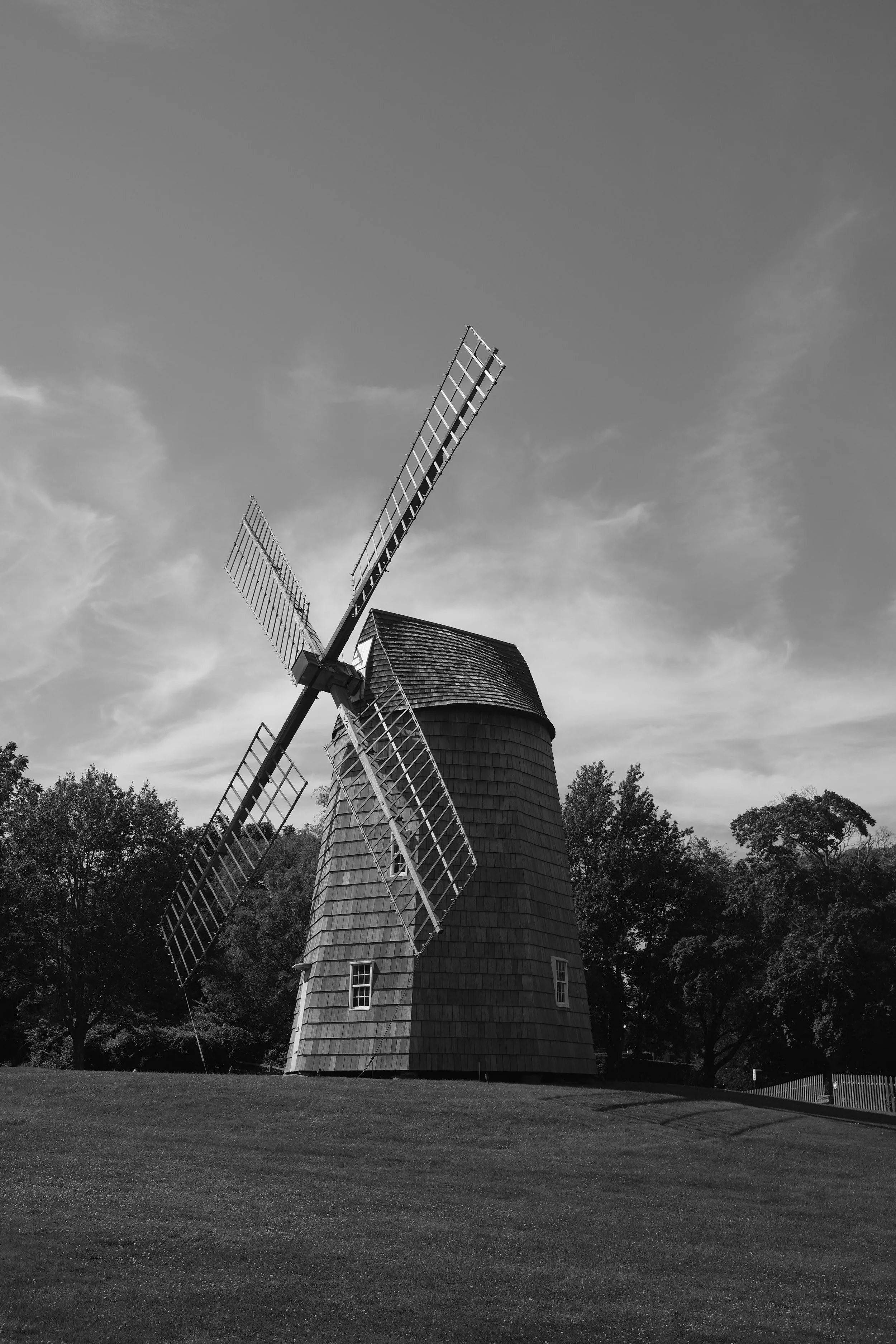_DSF1159.jpg