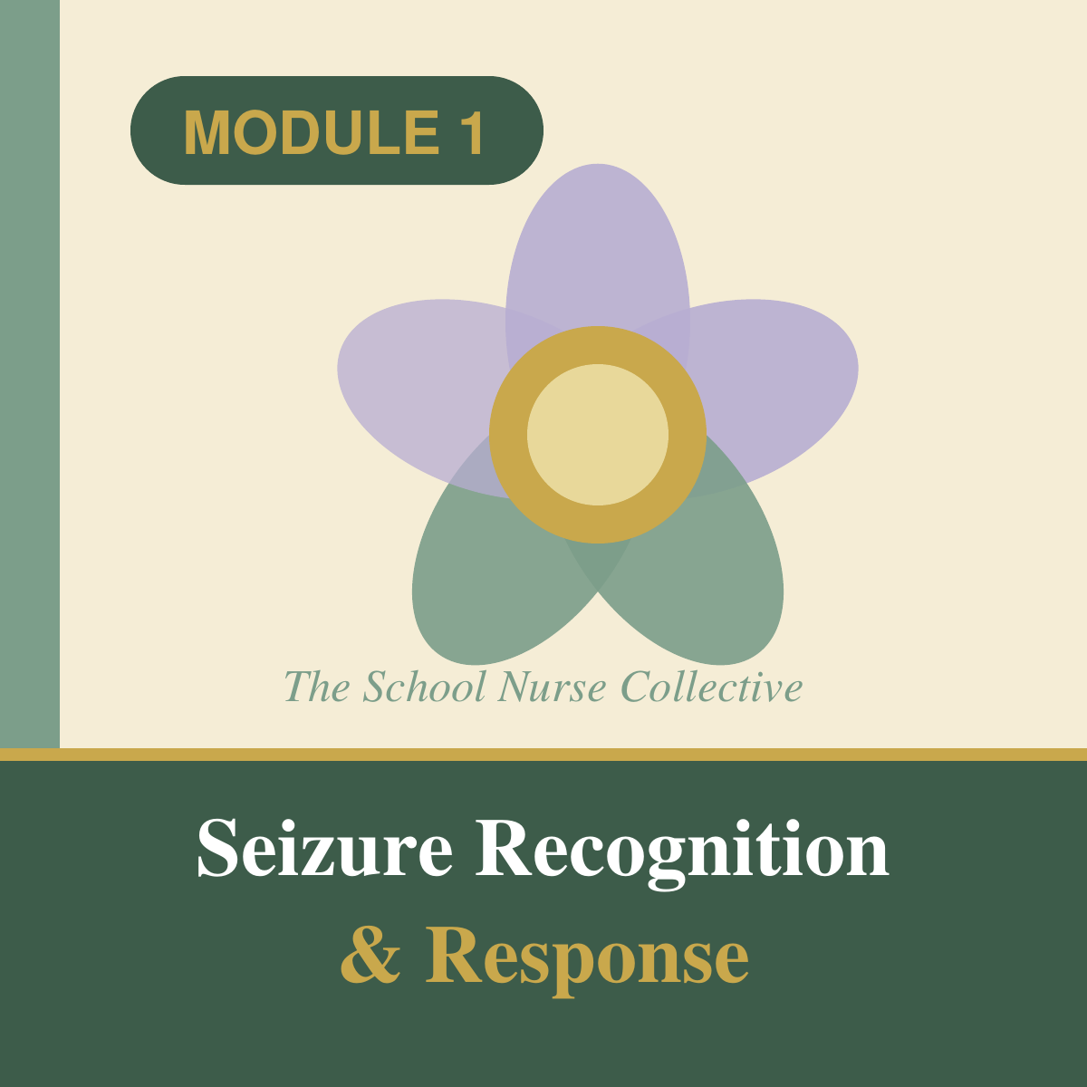 Seizure Recognition & Response – Staff Training Module