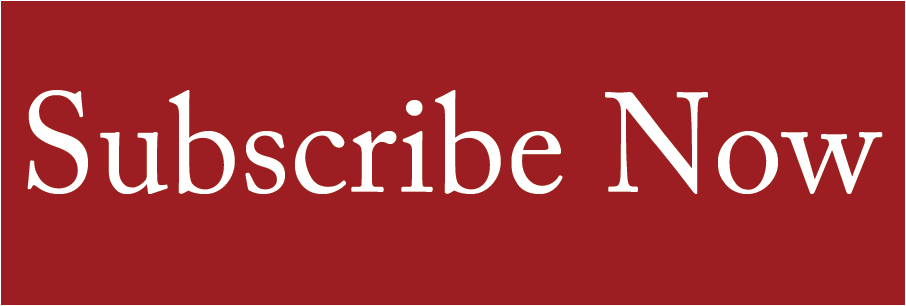 Red button with white text that says "Subscribe Now".