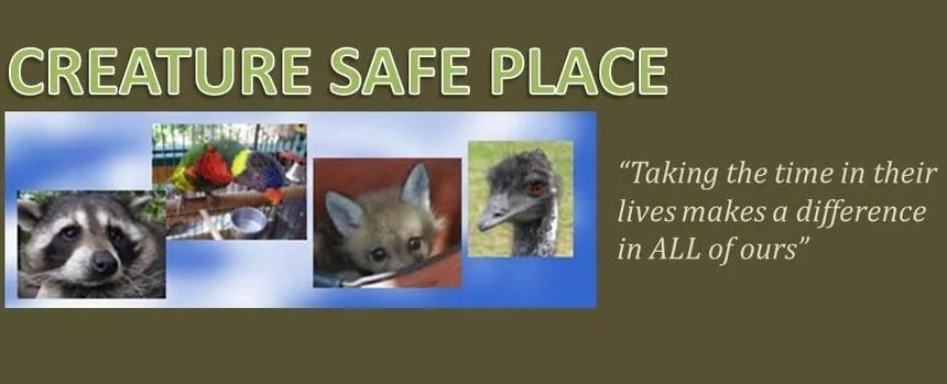 creature-safe-space-logo.jpg