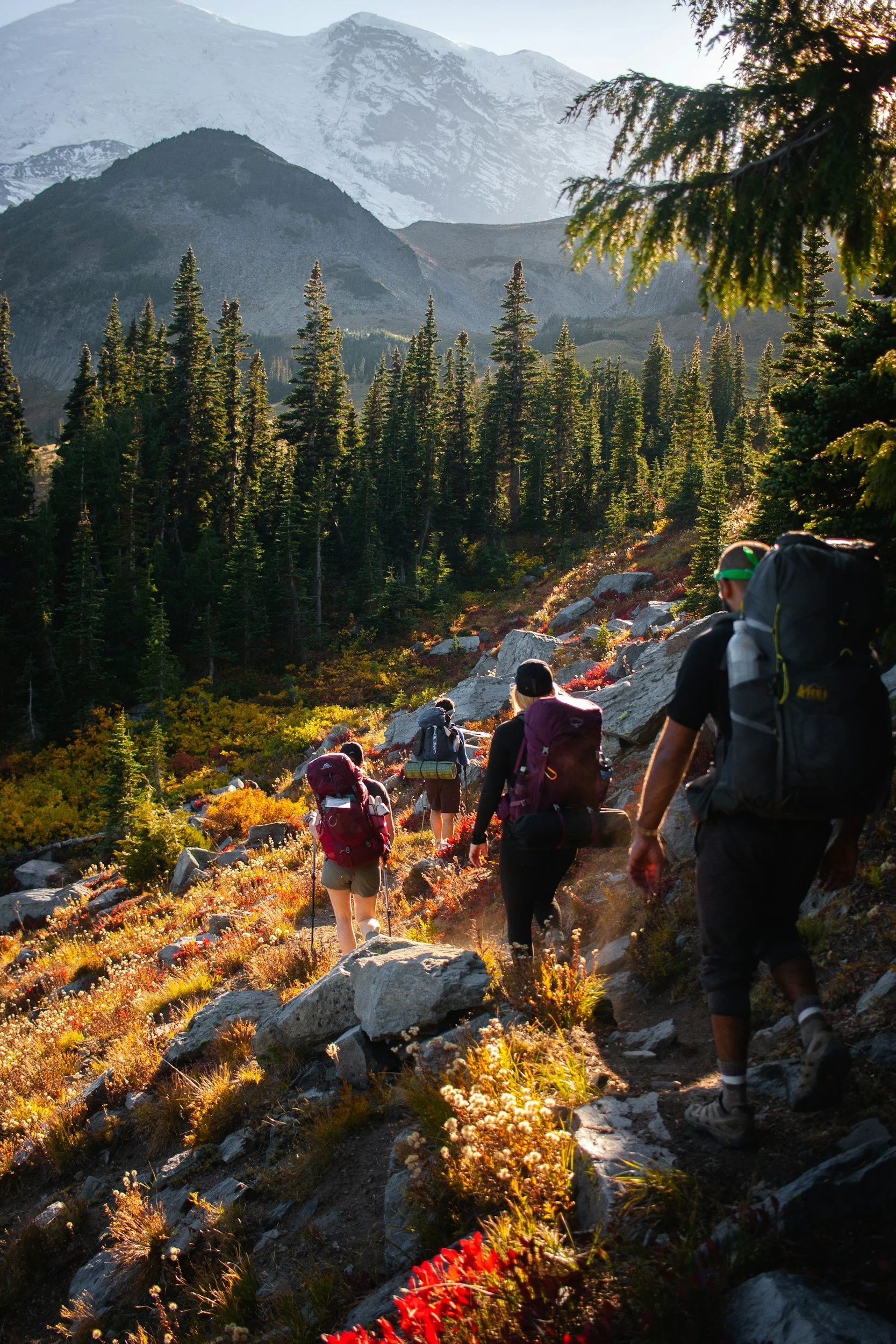 A group of hikers walking on a rocky trail through a forest with tall pine trees, with snow-capped mountains in the background during sunset.