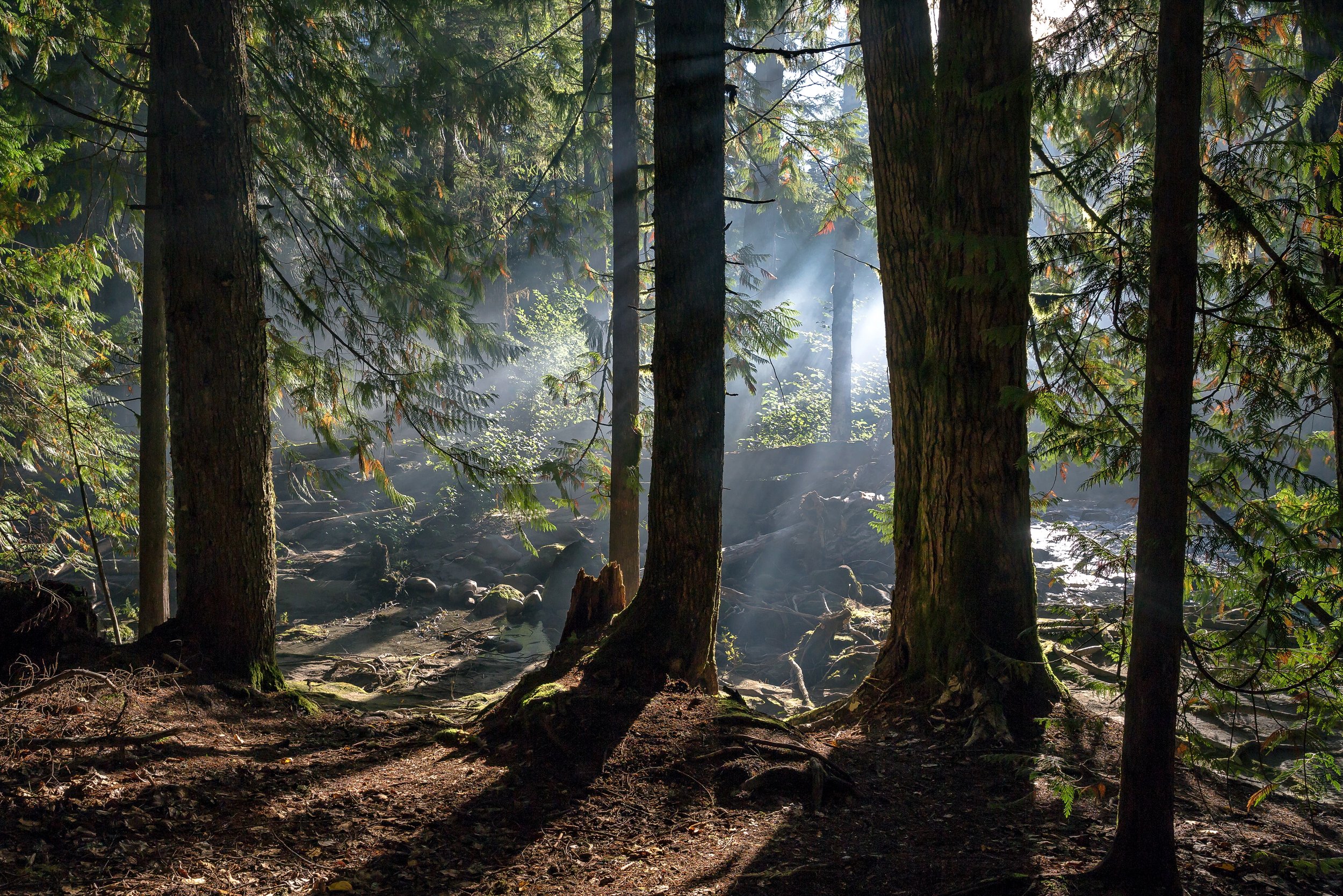 iStock-1089557692.jpg