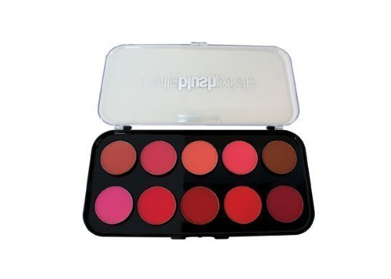 blush palette.png
