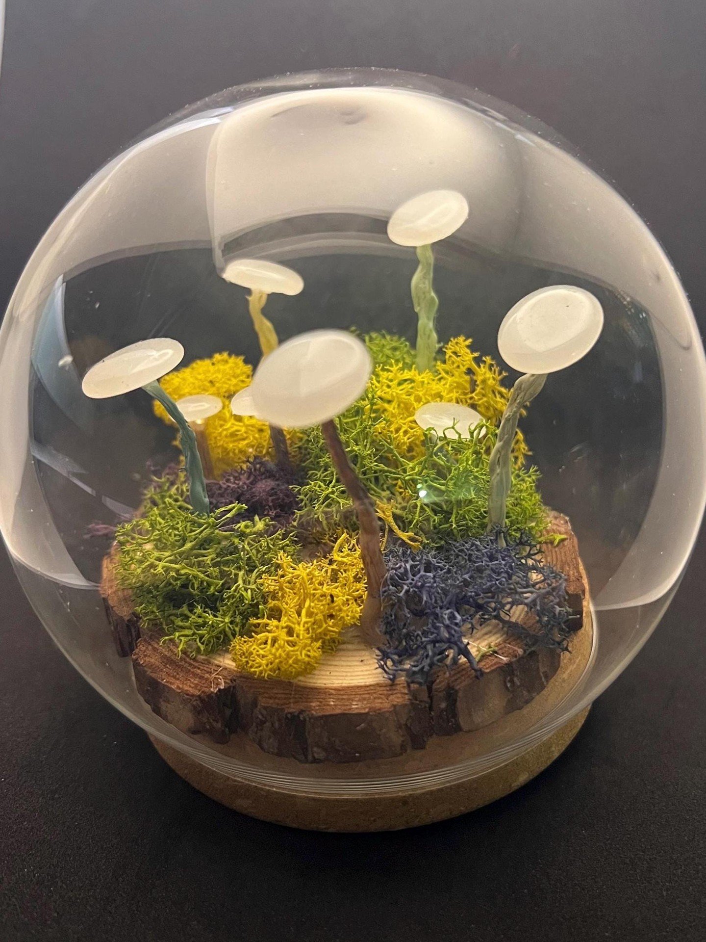 Restock!: Cottagecore mushroom and moss lamp in glass dome. Battery powered. Handmade in Scotland 👉🏽👉🏽 https://sparklyscottygifts.etsy.com/listing/1874900535/cottagecore-mushroom-and-moss-lamp-in
