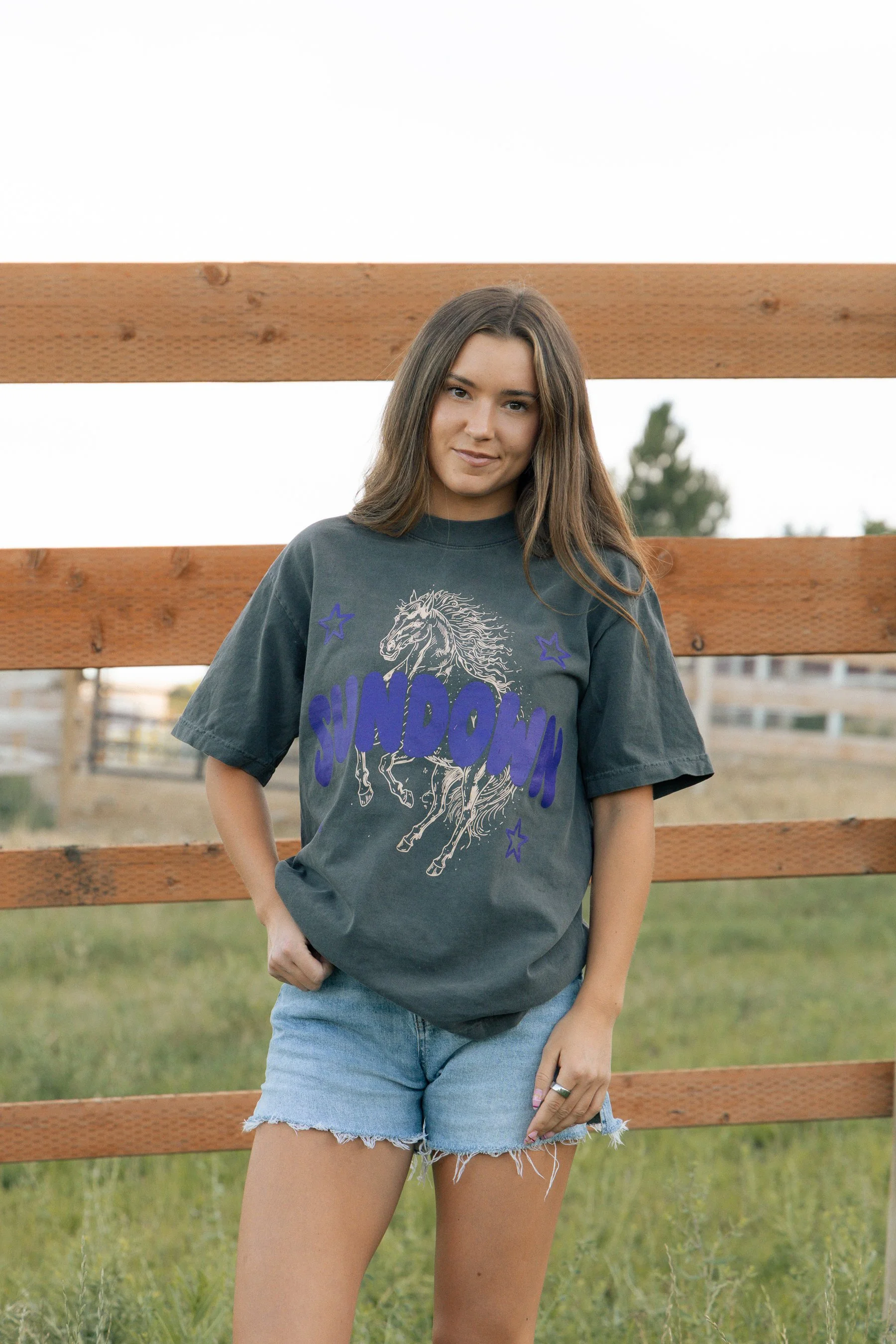 Sundown Whimsical Tee