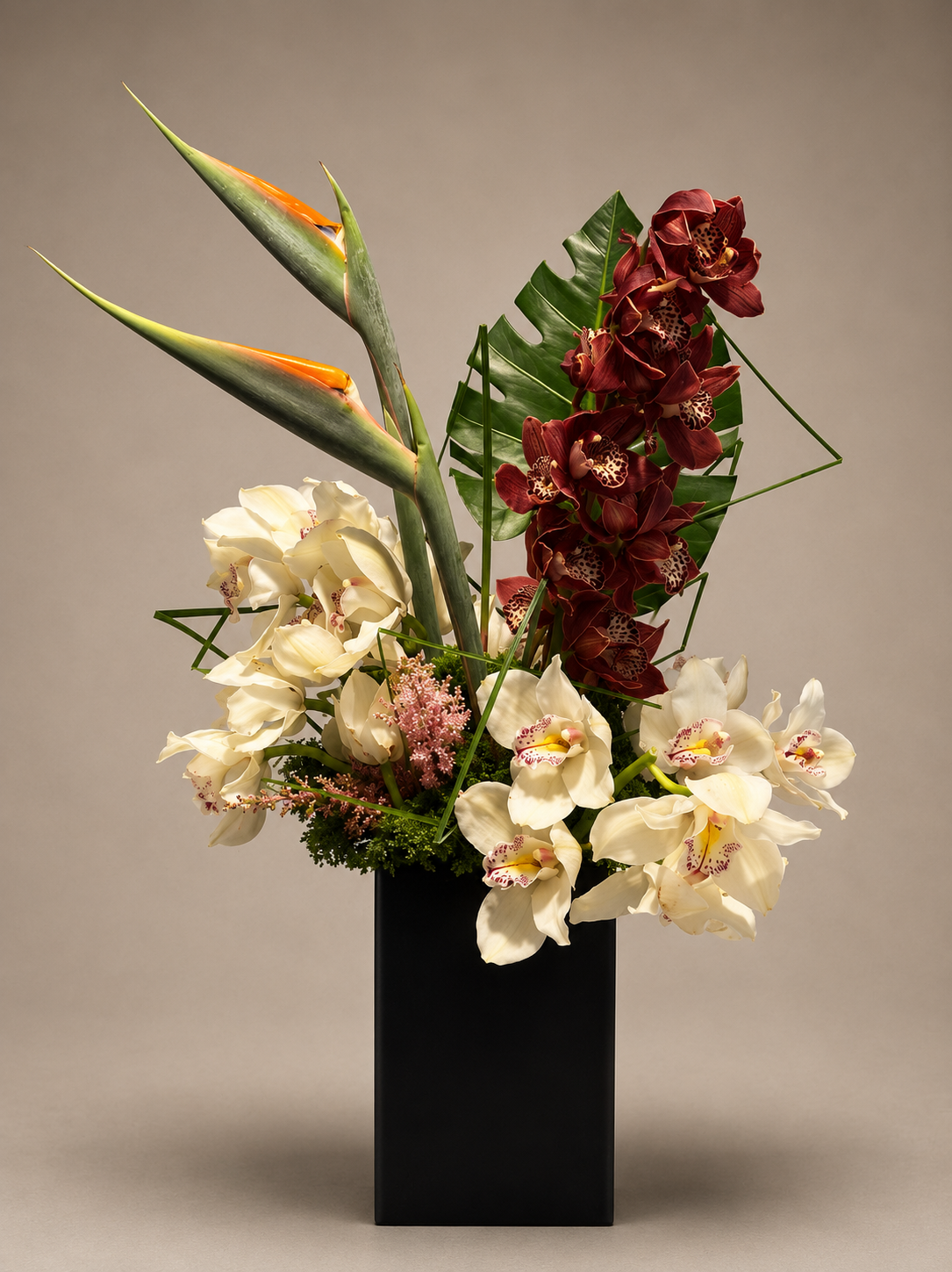 The Orchid Current