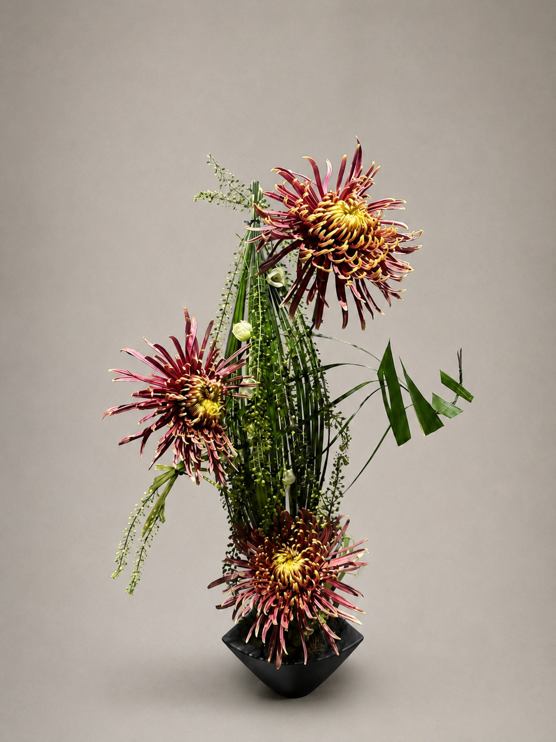 The Rhythm of Chrysanthemums