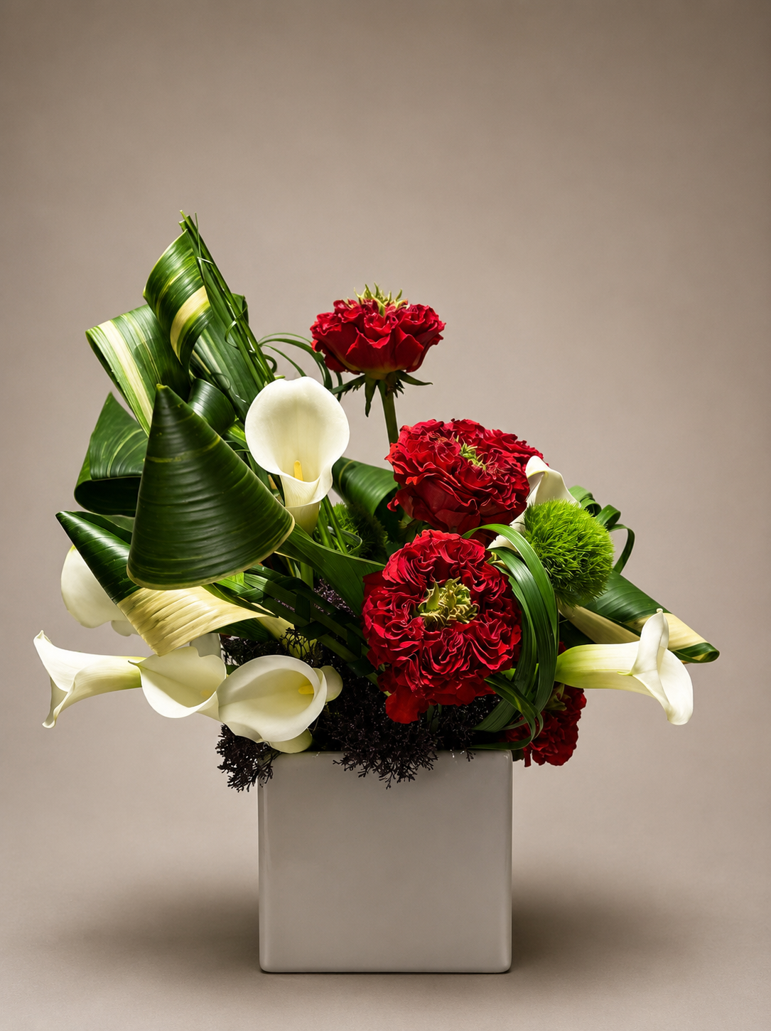 5A75C159-B040-4F0E-8C6D-F69C5FD4AA23.png