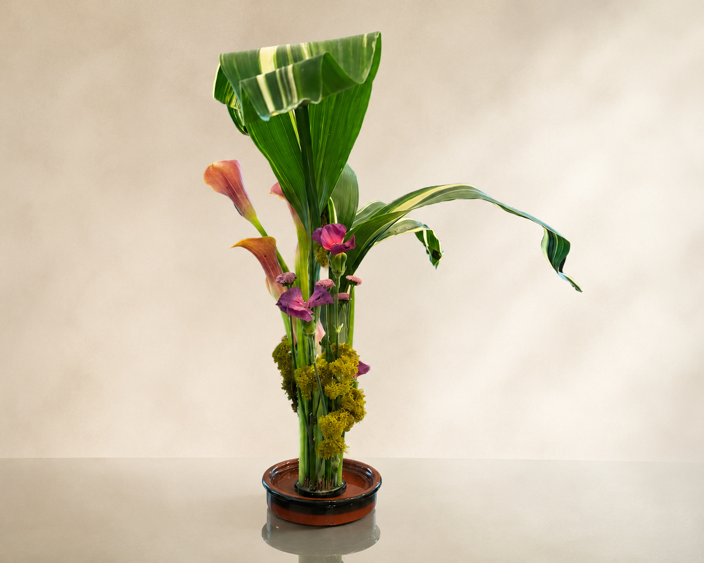 96E525A7-D7AE-4EF3-B5DC-729091AFF60B.PNG