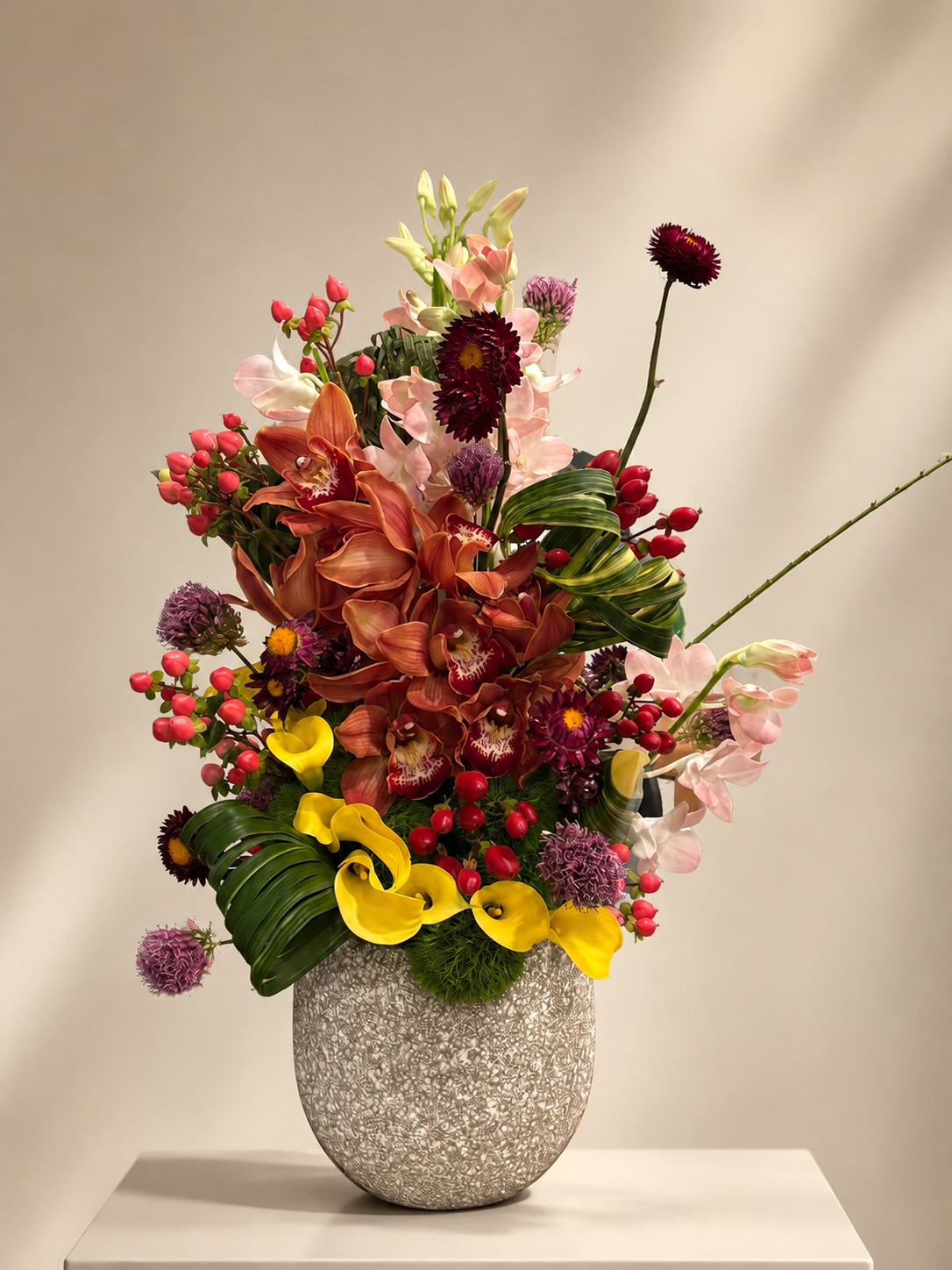 Autumn Cymbidium