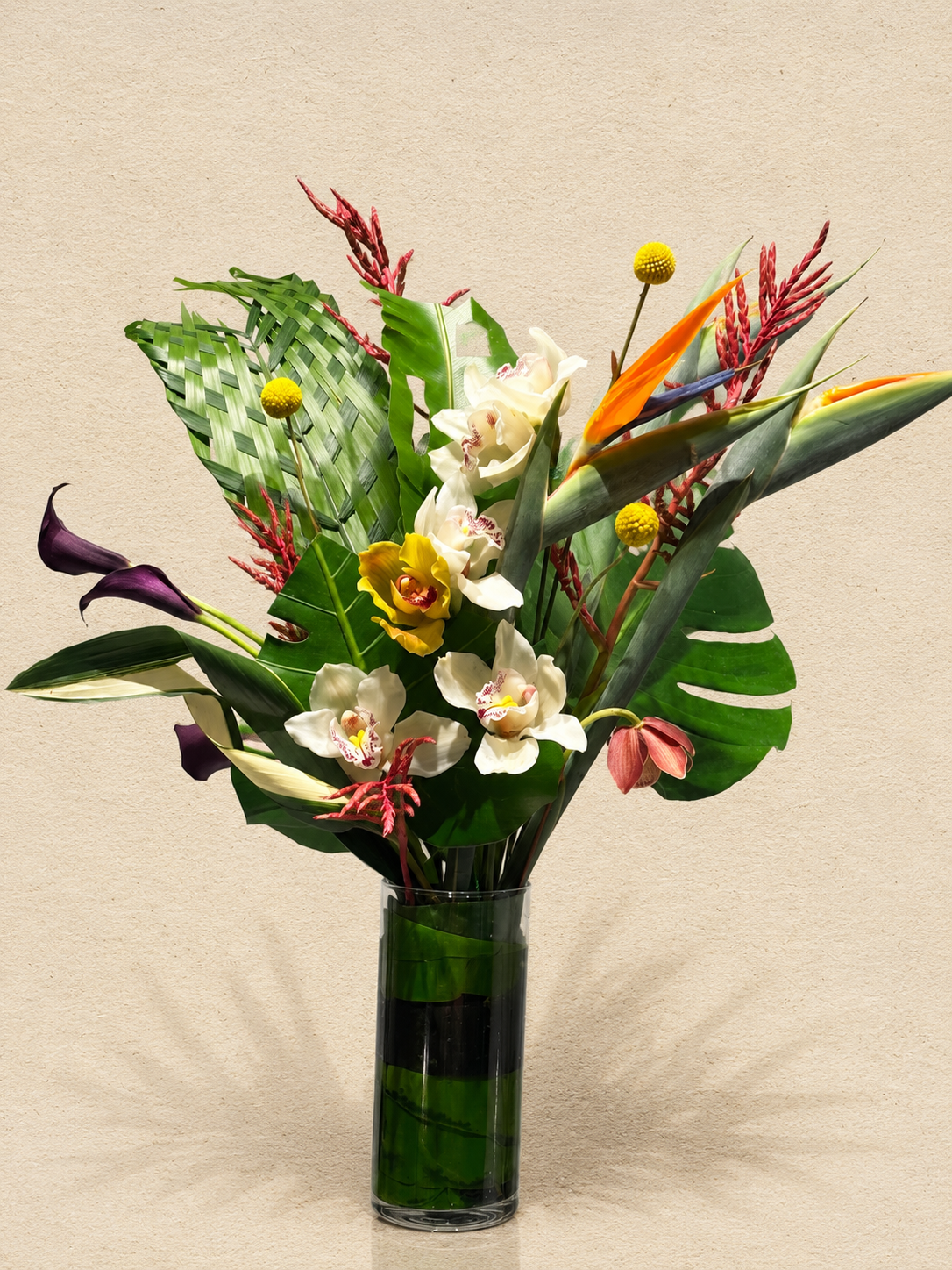 D643271E-5878-43E7-B61A-8045DBD265A1.PNG