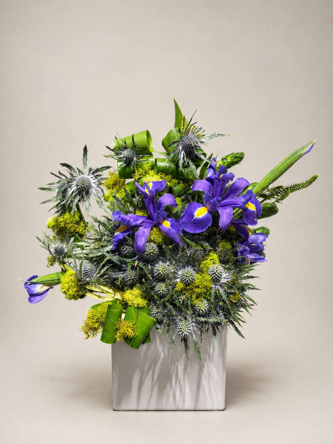 The Desert of Flowers