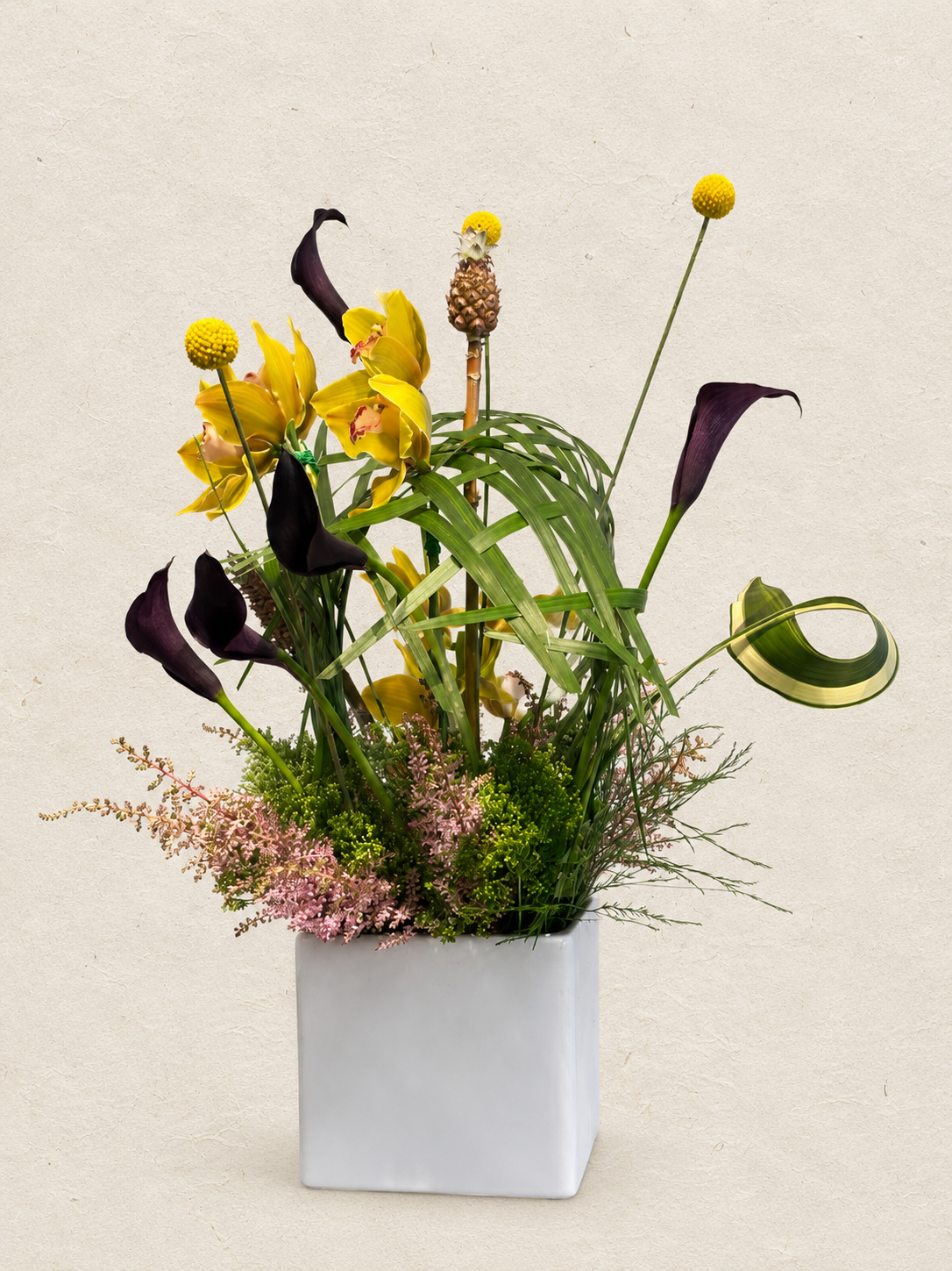 FD2519DA-FCFB-46CB-821E-59D4F4CF3A75.PNG