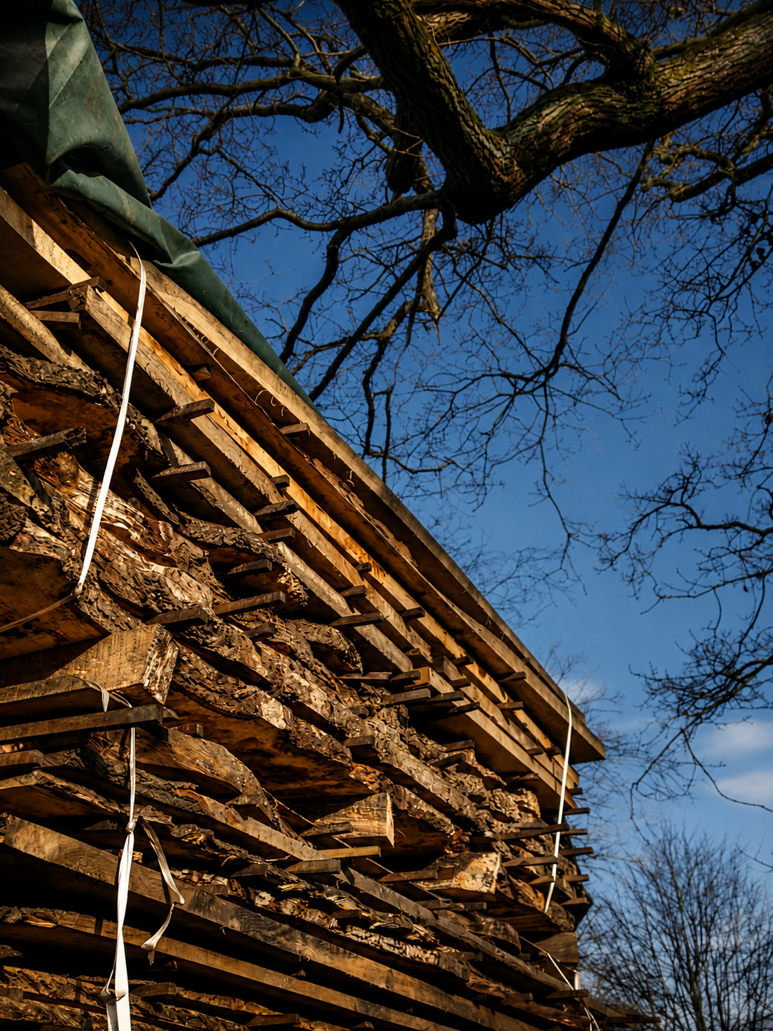 Stack of timber air drying in winter sun