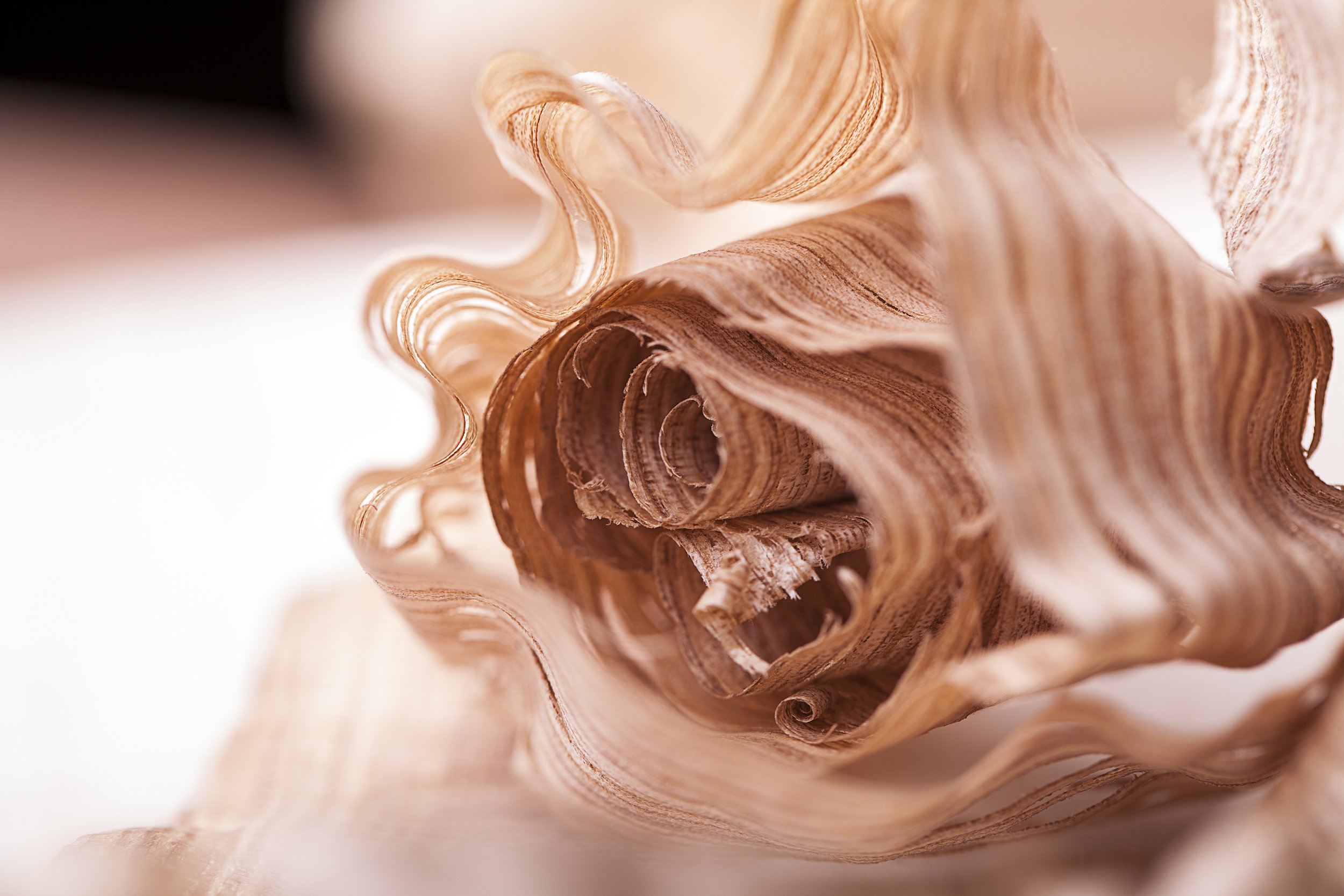 Close-up of curled, layered wood shavings showing detailed grain and texture.