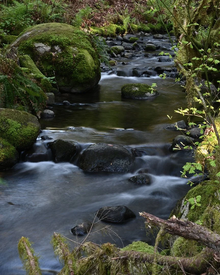 Long Exposure in Tynehead Park, Surrey