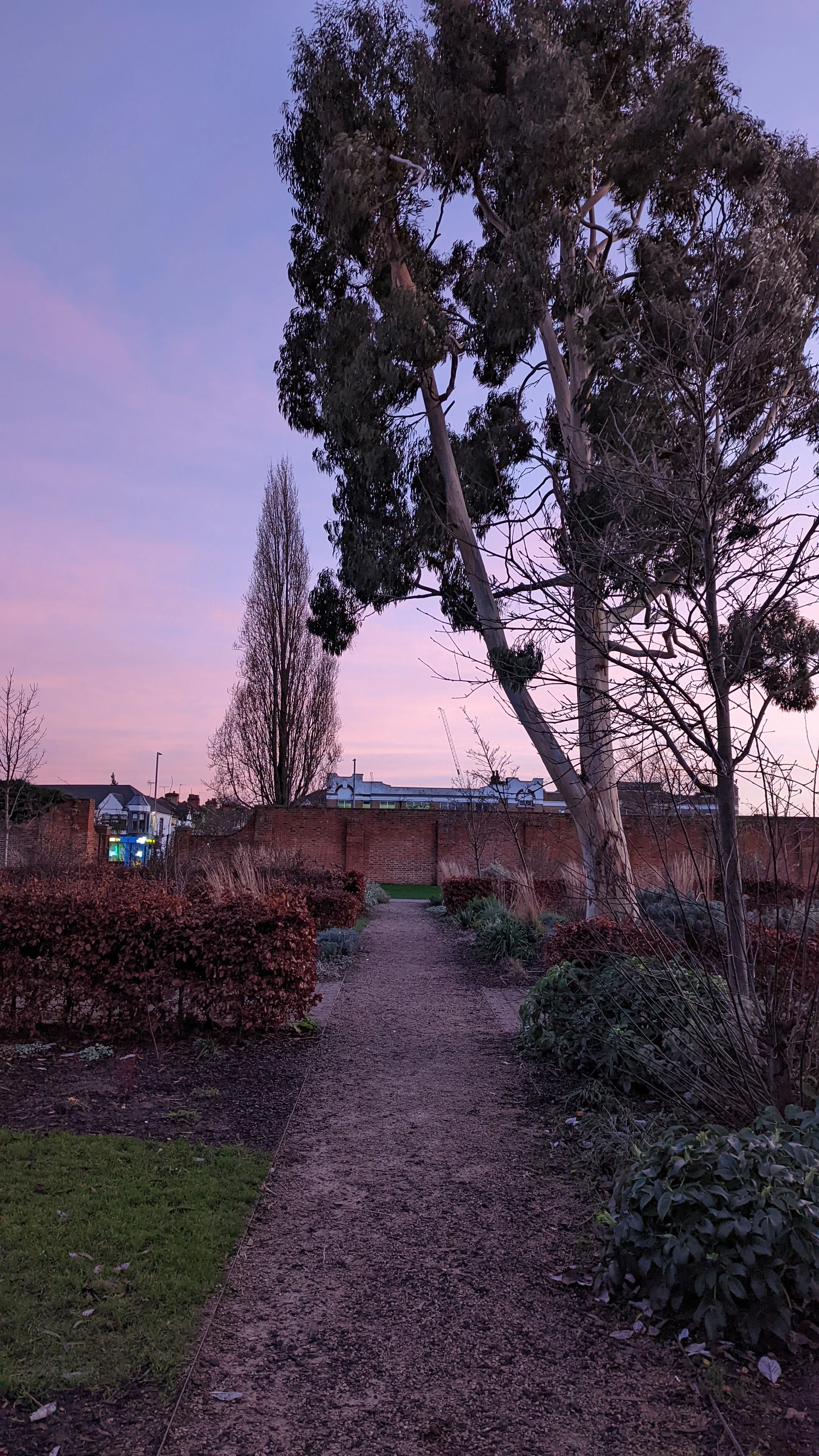 A dirt path in a garden during sunset with tall trees and bushes on both sides, a brick wall in the background, and a purple sky.