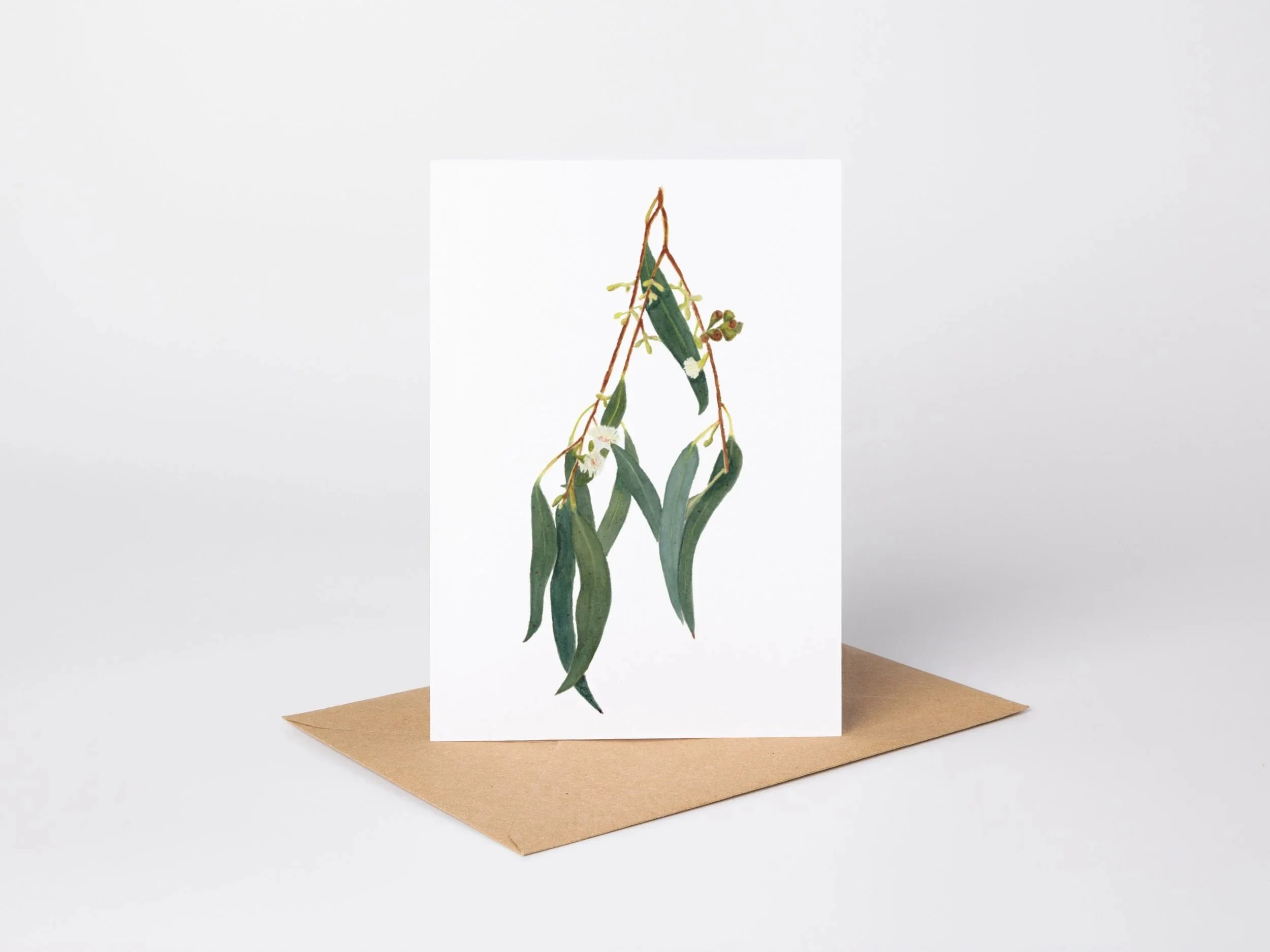 Artistic botanical illustration of a green gum leaves with white flowers on a white textured, placed on a brown paper envelope against a white background.