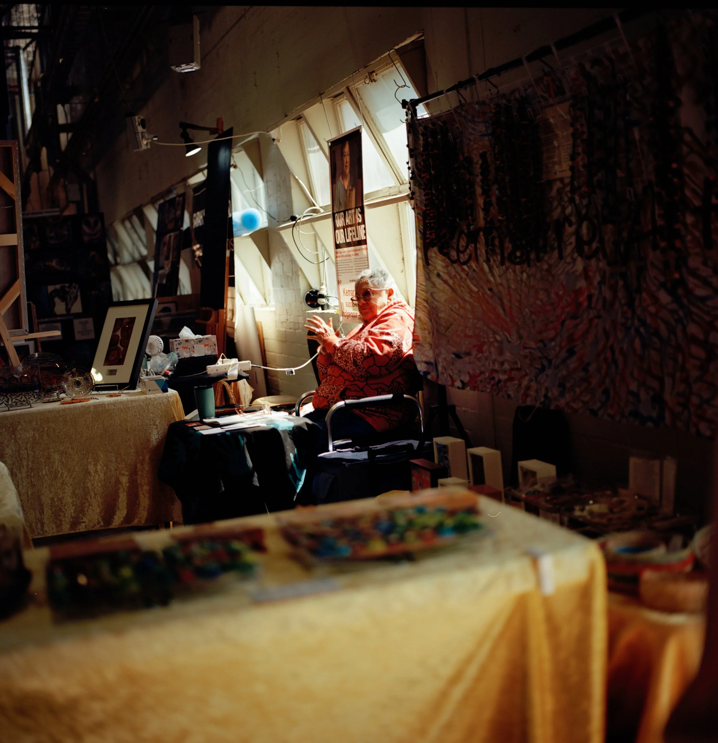 203FE_Ektar100_20241111_10.jpg