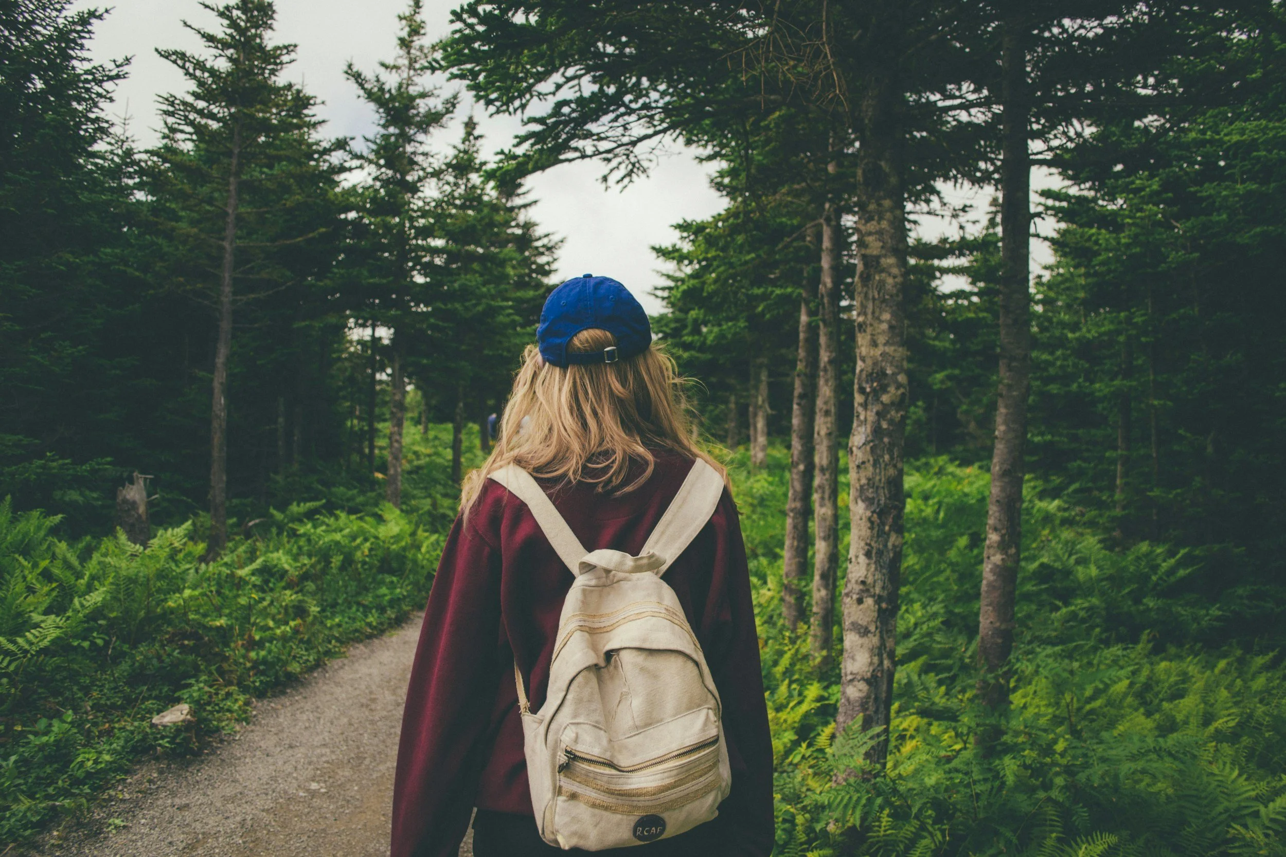 Person with blonde hair wearing a blue cap and maroon jacket, carrying a beige backpack, walking through a forest with tall green trees.