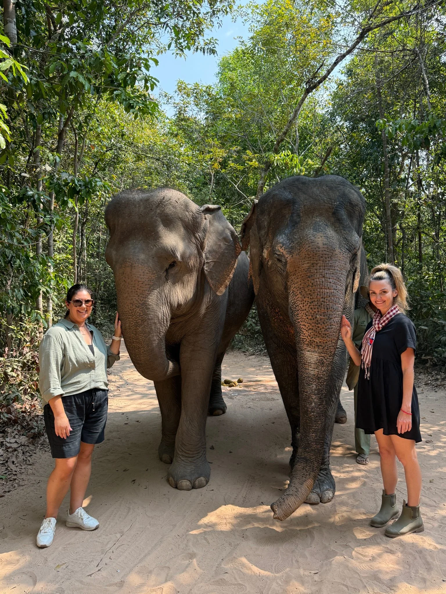 Two women standing near two elephants in a lush, green forest with a clear blue sky overhead.
