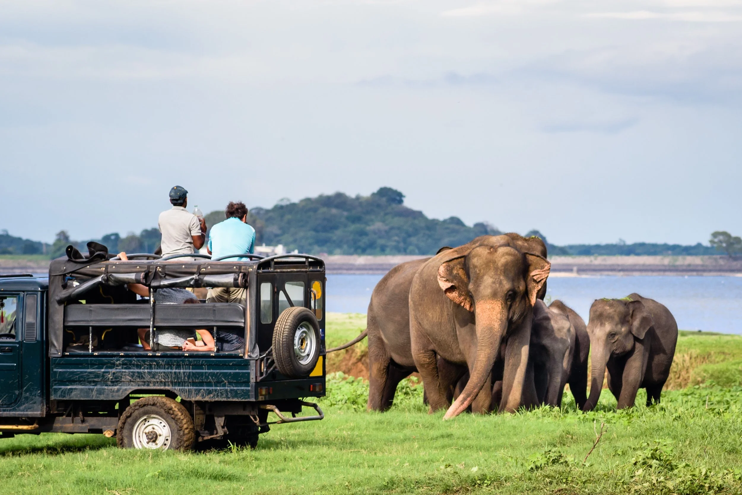 Two tourists riding in an open vehicle observing elephants in a grassy landscape near a body of water.