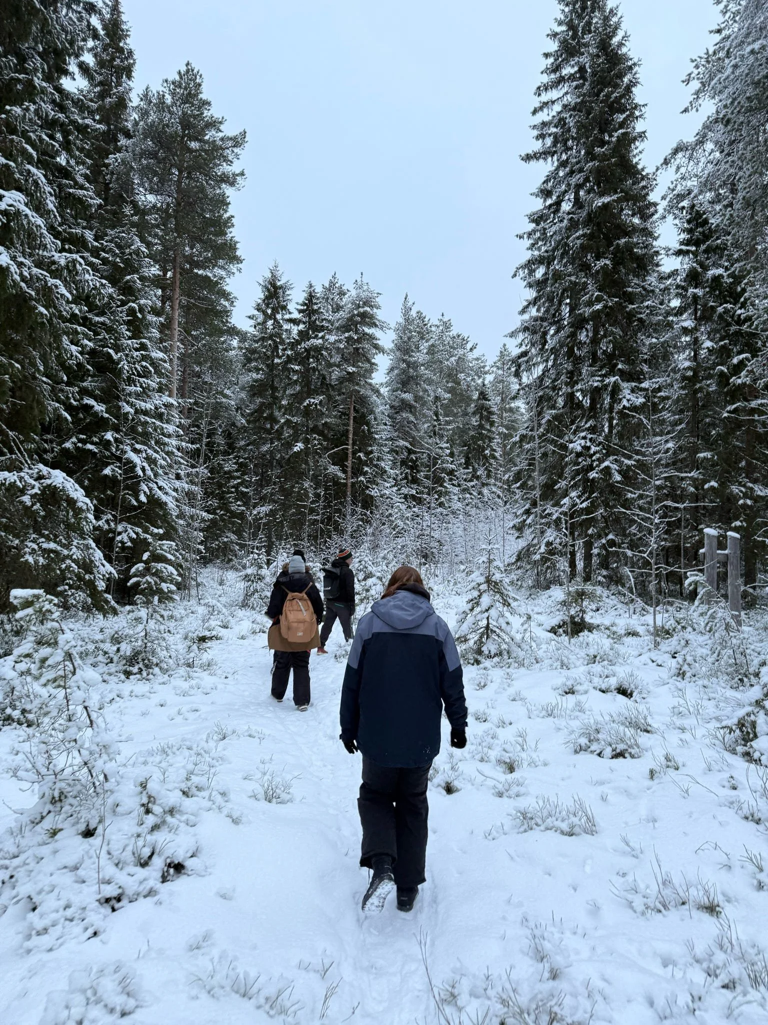 People walking through a snow-covered forest during daytime.