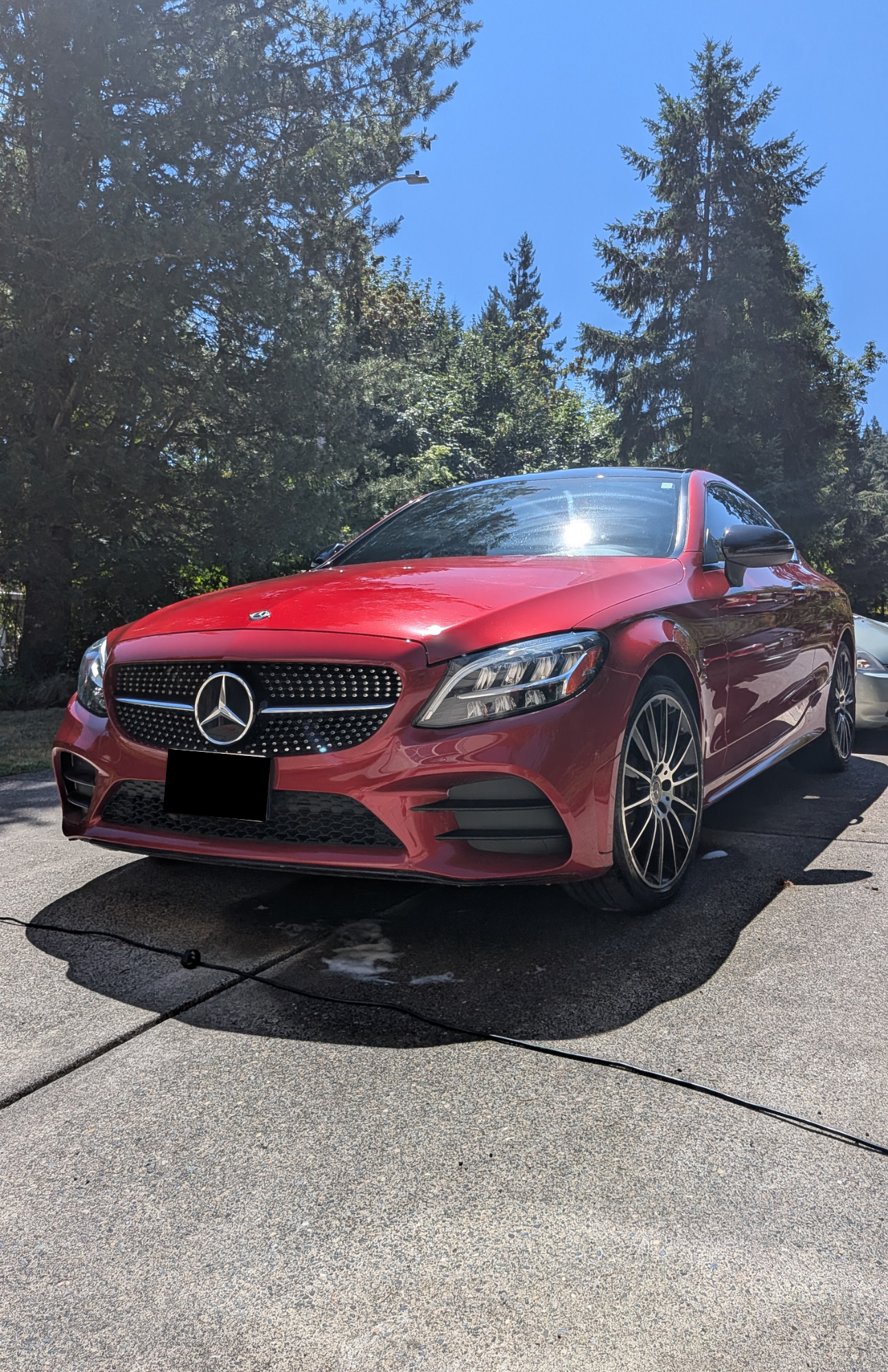 A red Mercedes-Benz coupe parked on a gray concrete driveway surrounded by tall evergreen trees under a clear blue sky.