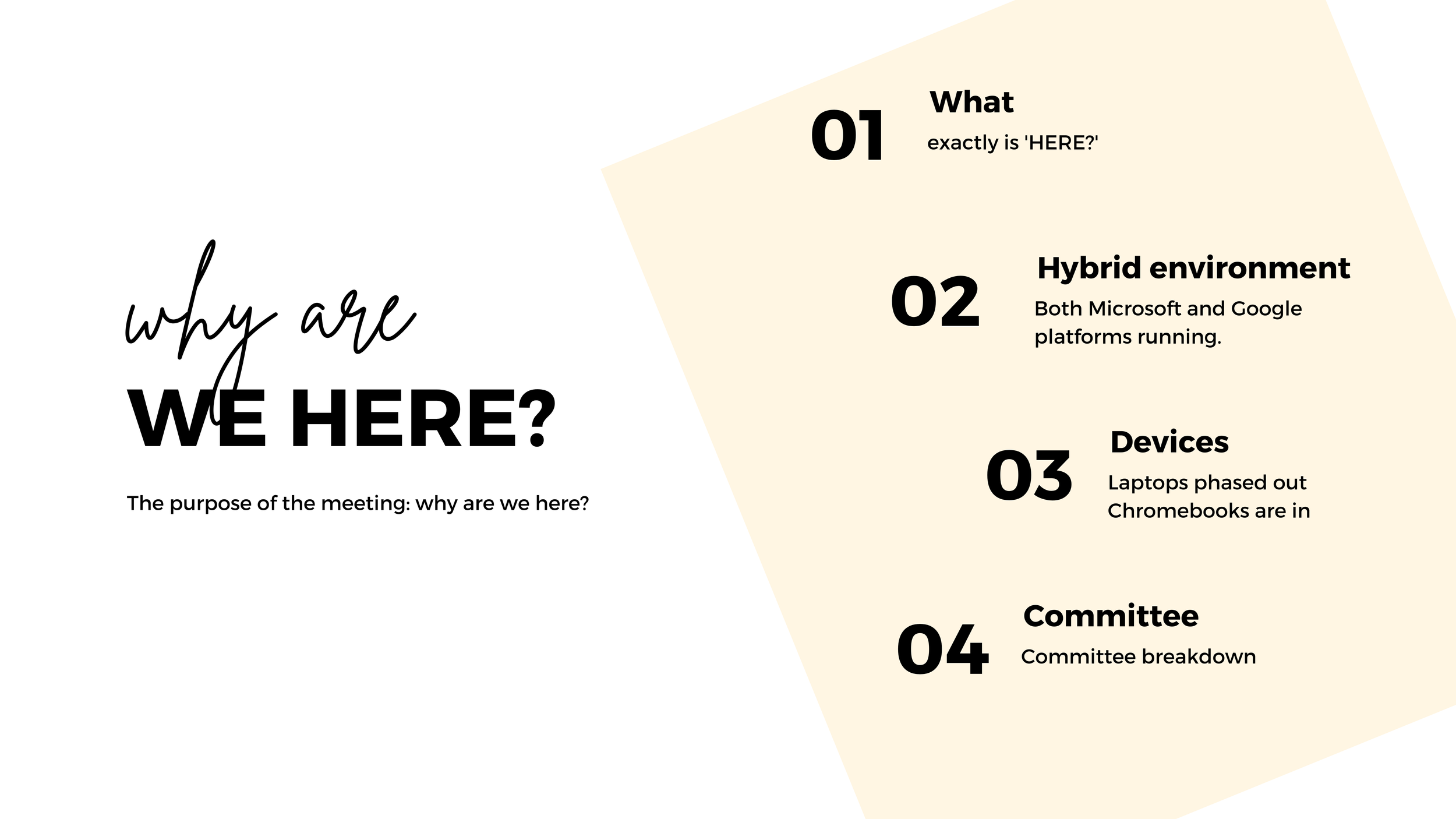 A presentation slide titled 'Why are we here?' with the subtitle 'The purpose of the meeting: why are we here?' and a section titled 'What' listing three agenda items: 1. What exactly is 'HERE?', 2. Hybrid environment with Microsoft and Google platfo