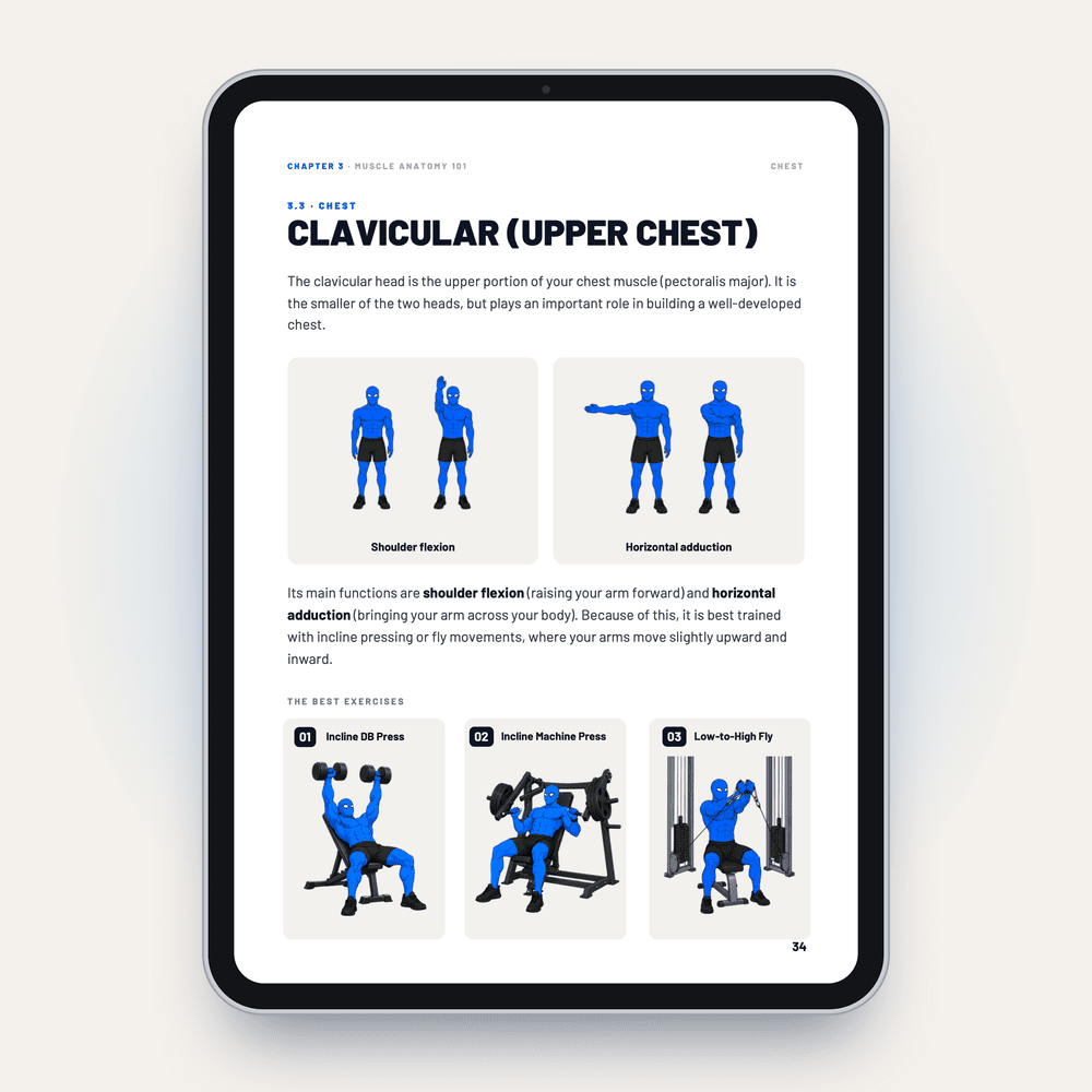 Upper chest exercises page