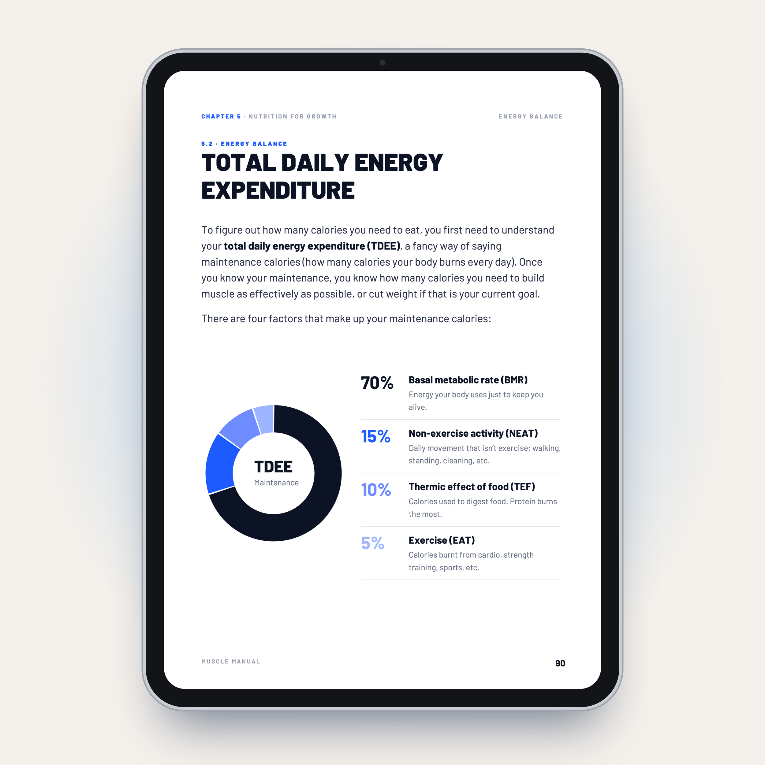 08 - Total daily energy expenditure (p90).png
