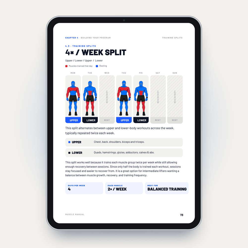 4x per week training split page