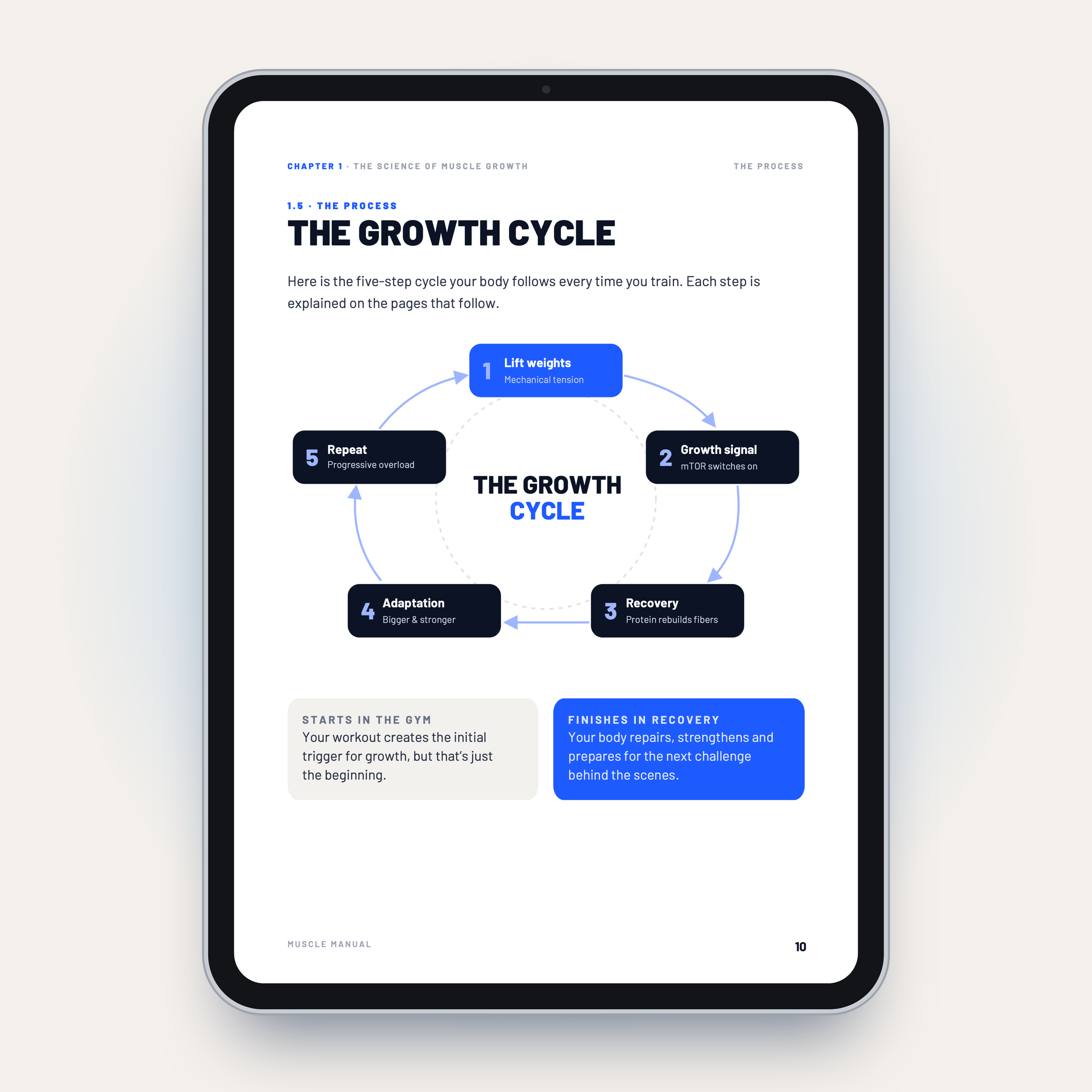 03 - Growth cycle (p10).png