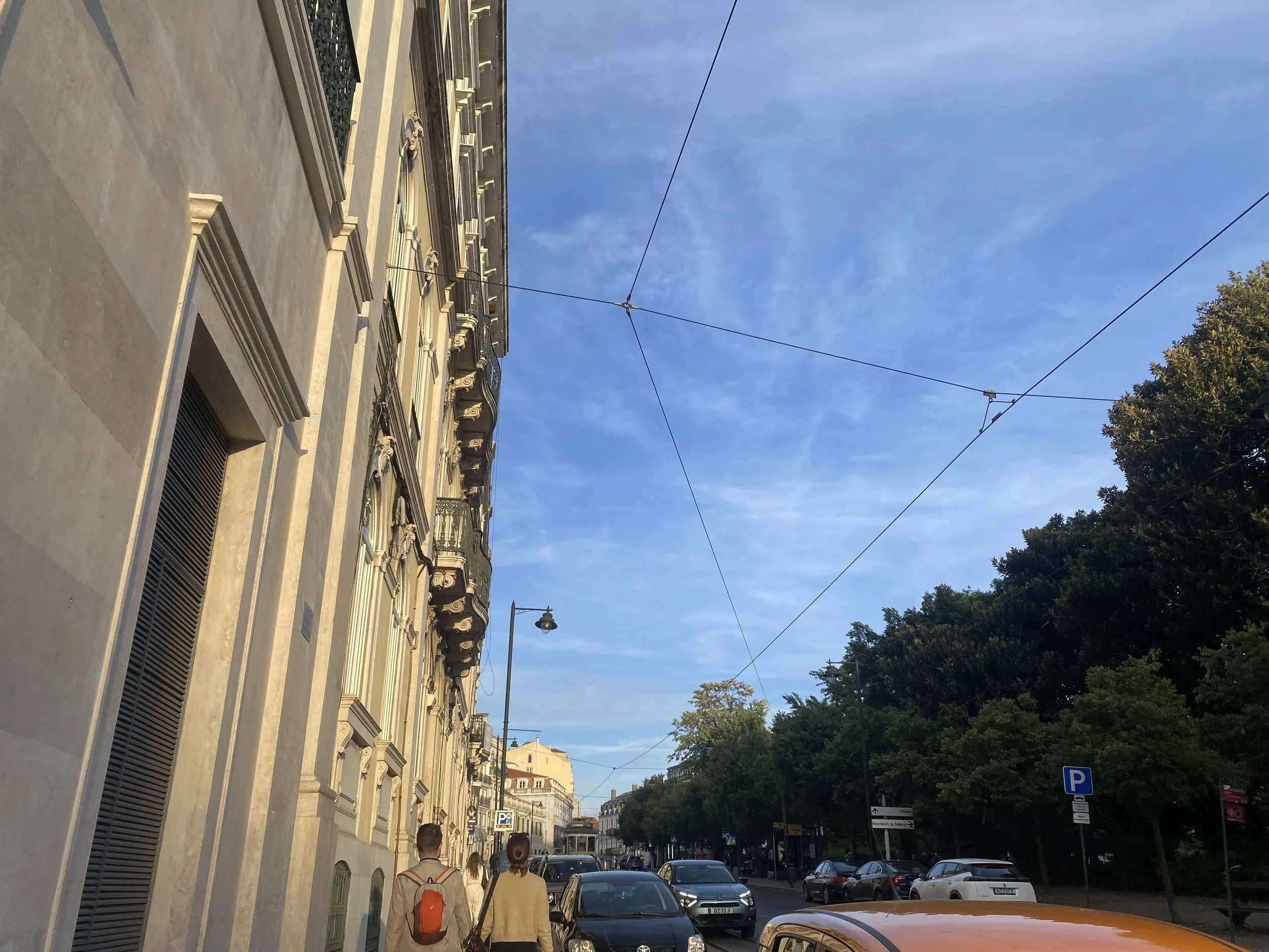IMG_6542.jpeg