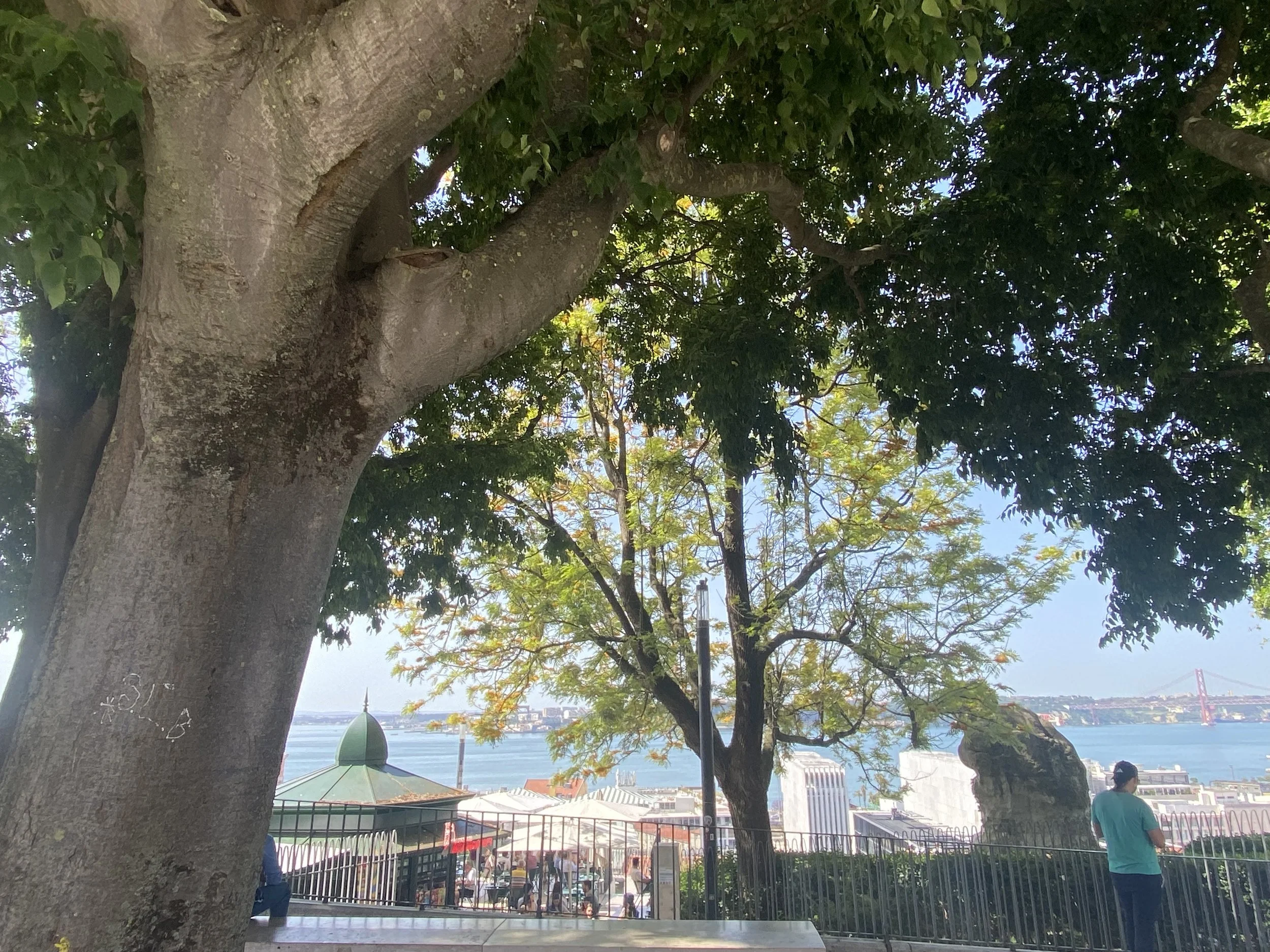IMG_1852.jpeg