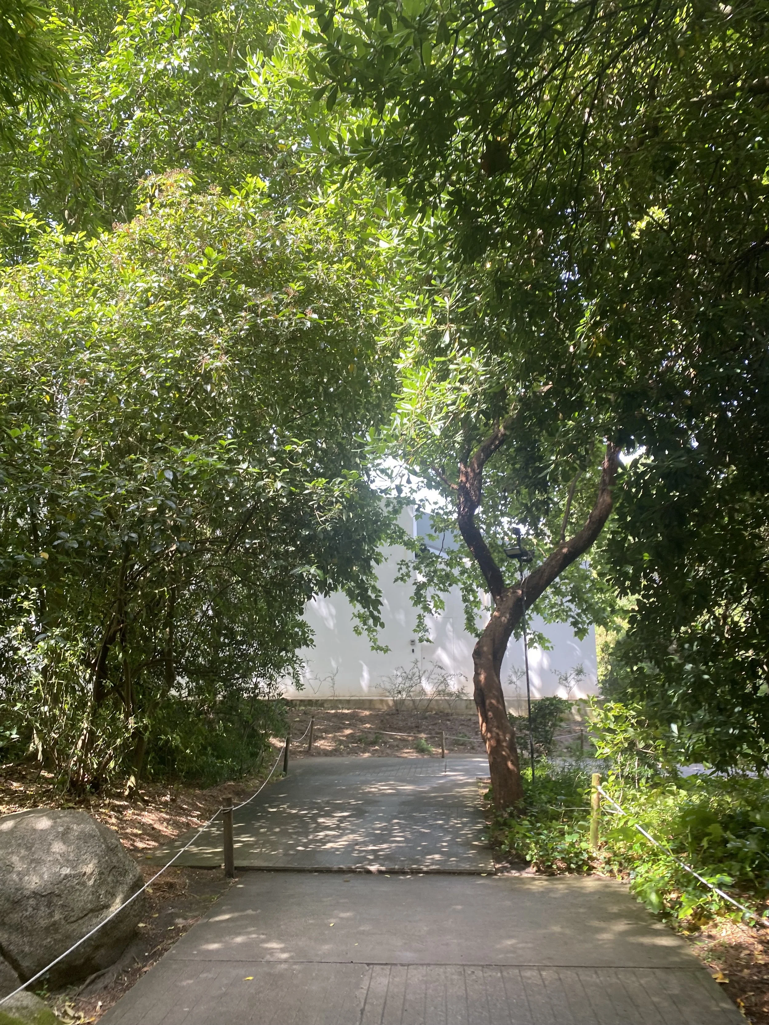IMG_1056.jpeg
