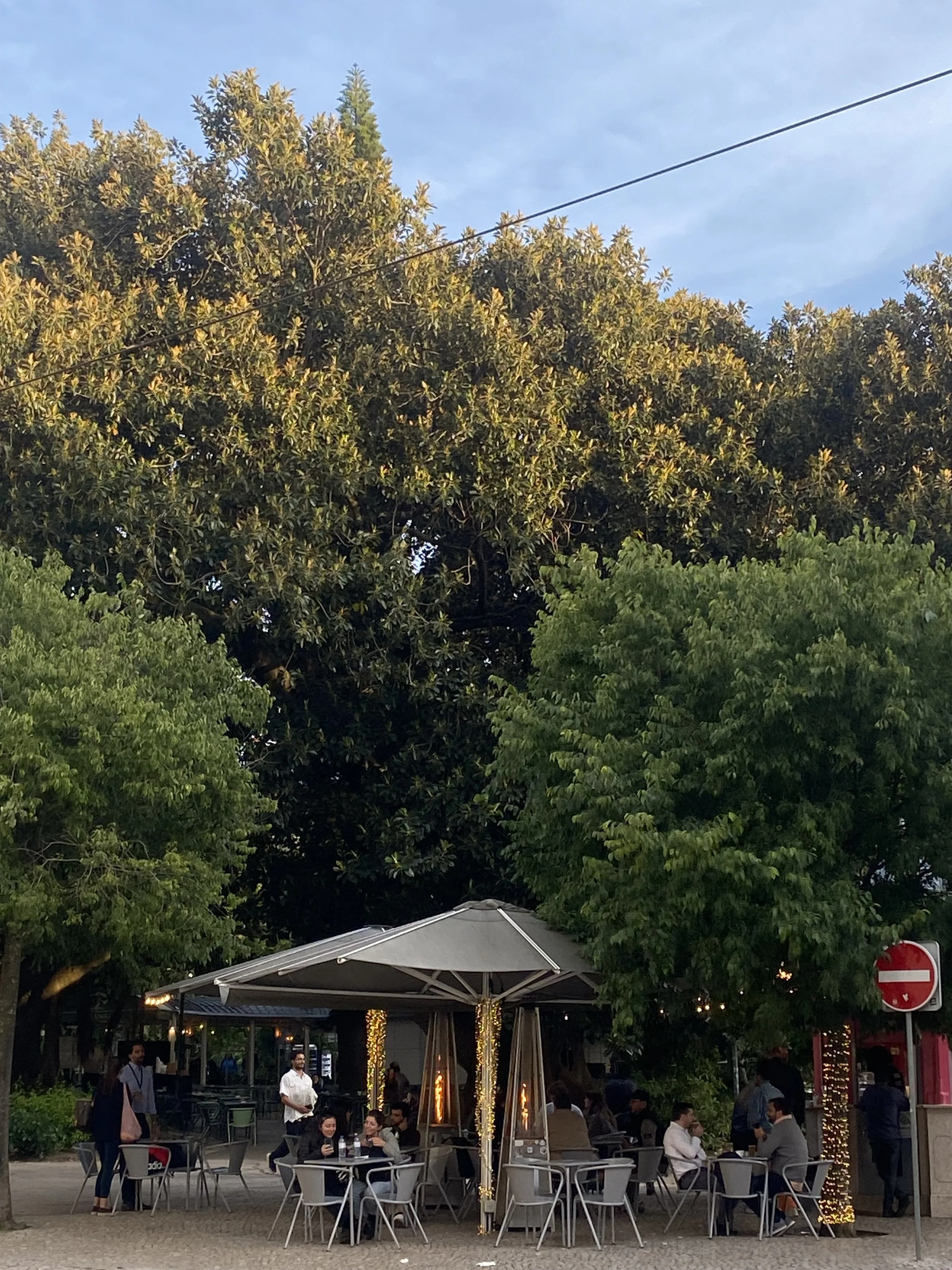 IMG_6536.jpeg